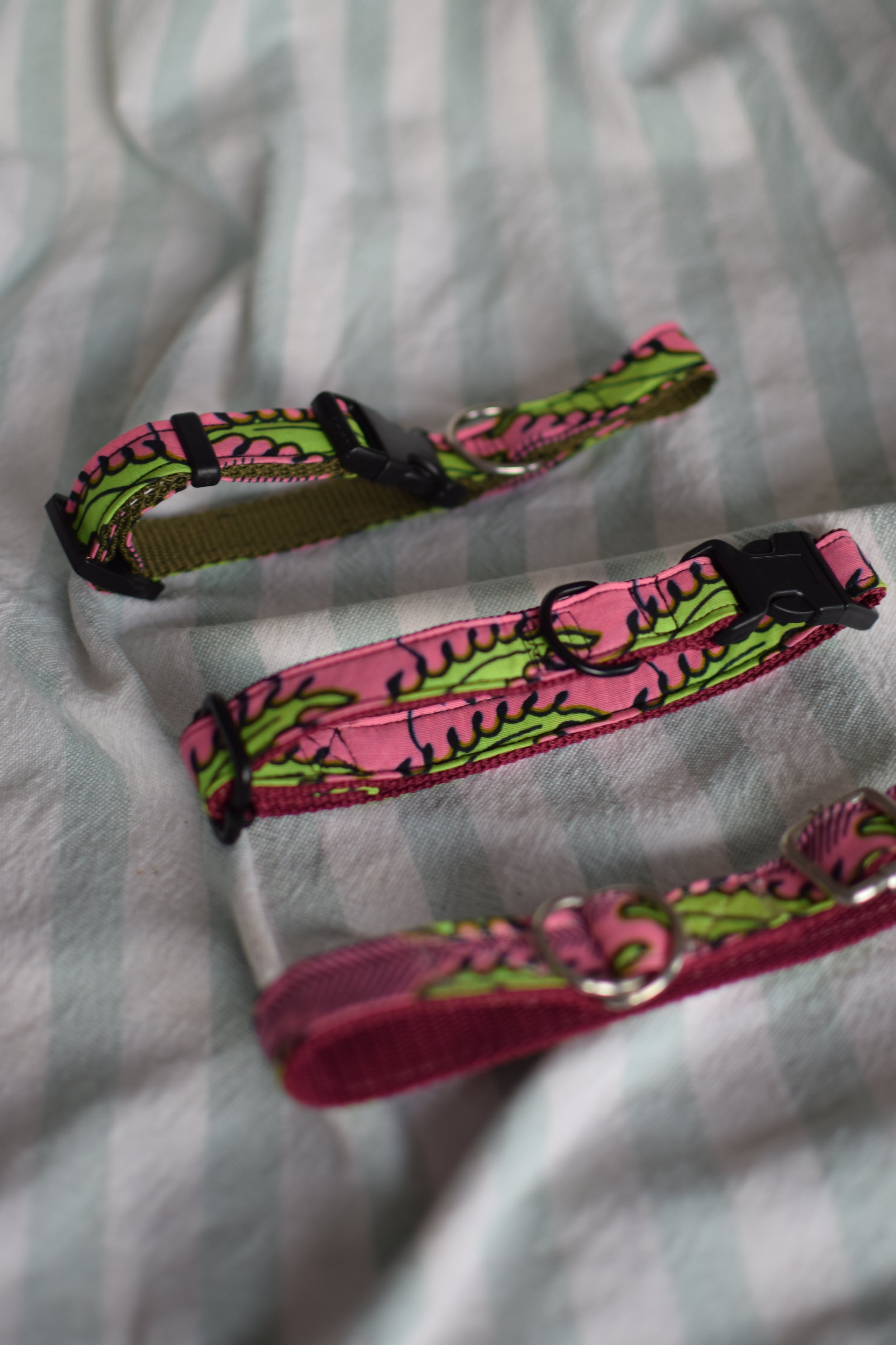 Neon Garden DSC_0455.JPG