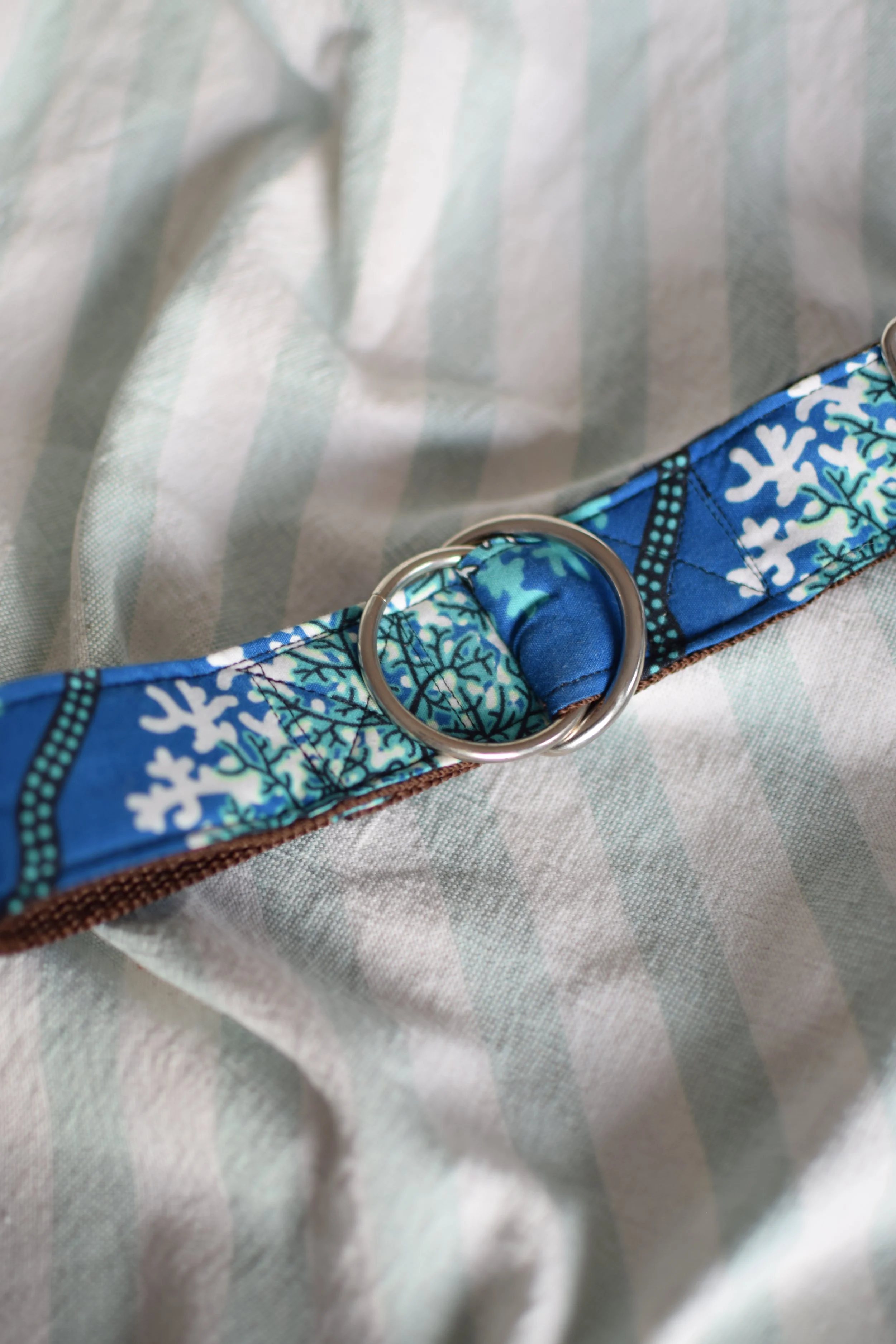 underwater DSC_0352.JPG