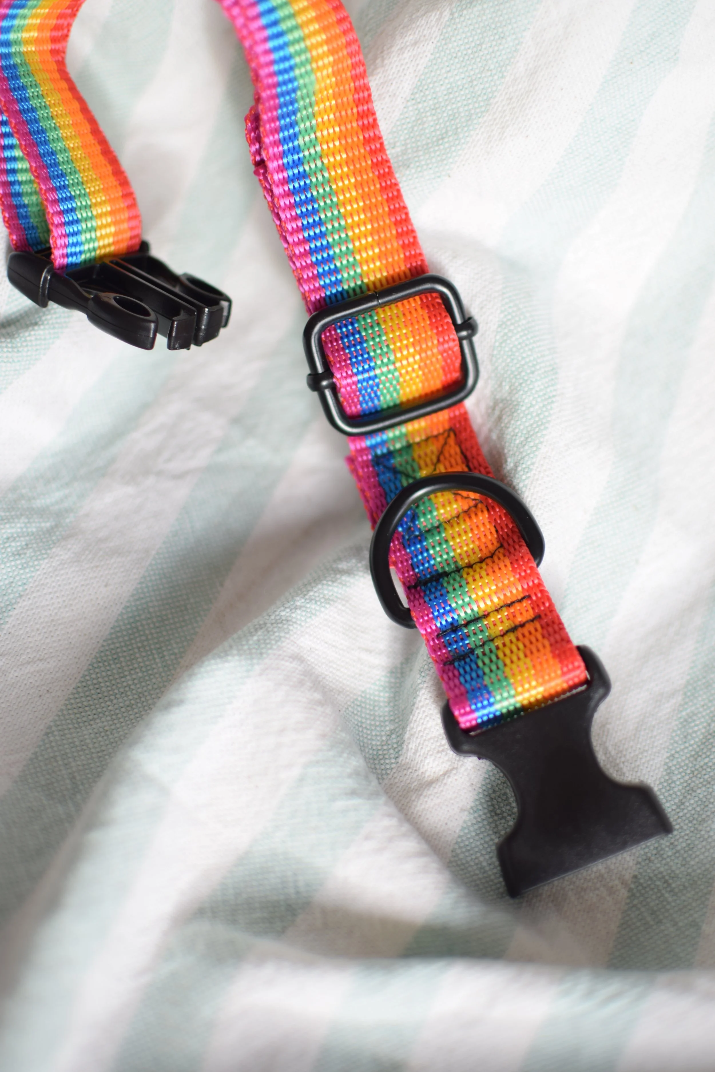 rainbow collar DSC_0334.JPG