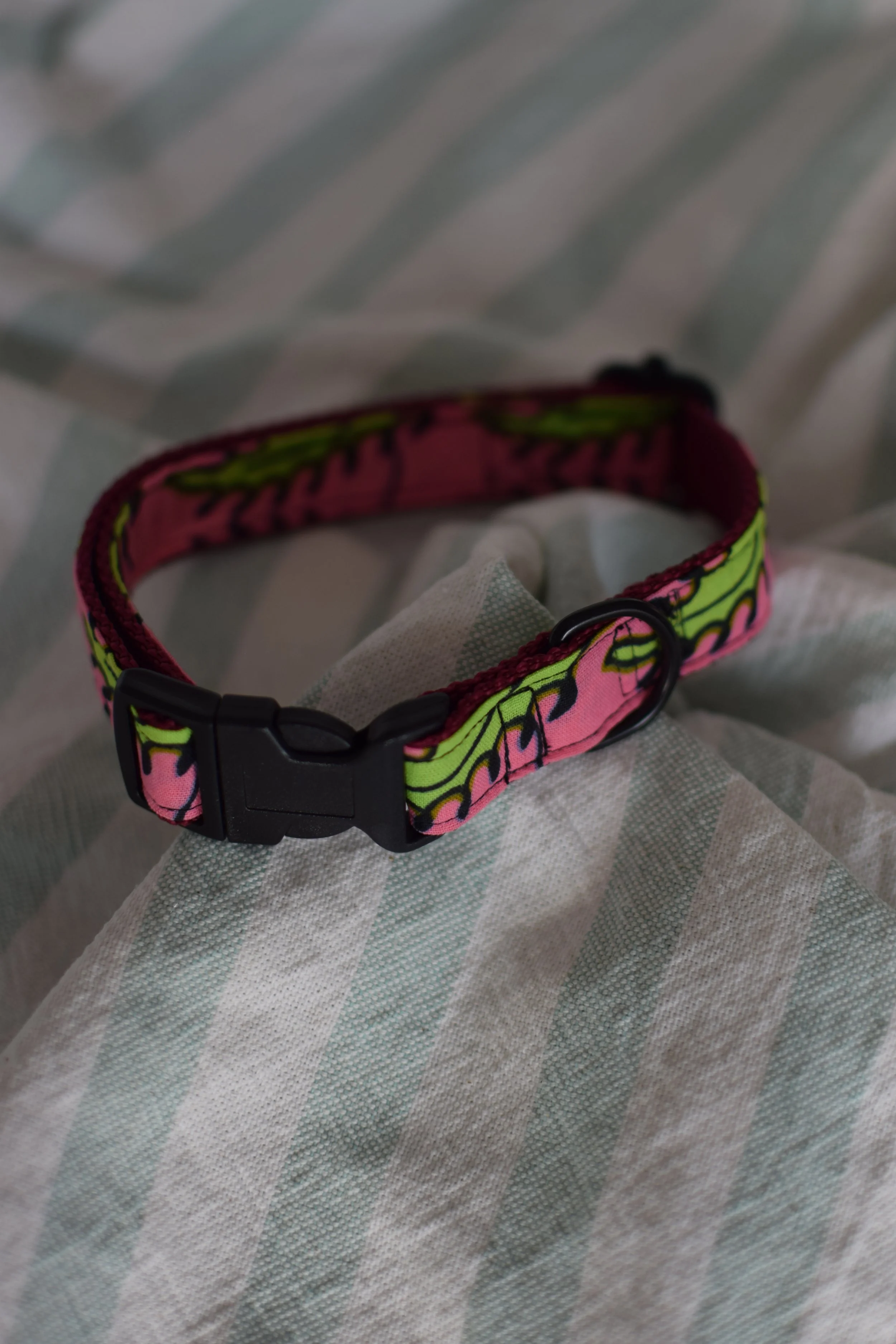 Neon Garden DSC_0374.JPG