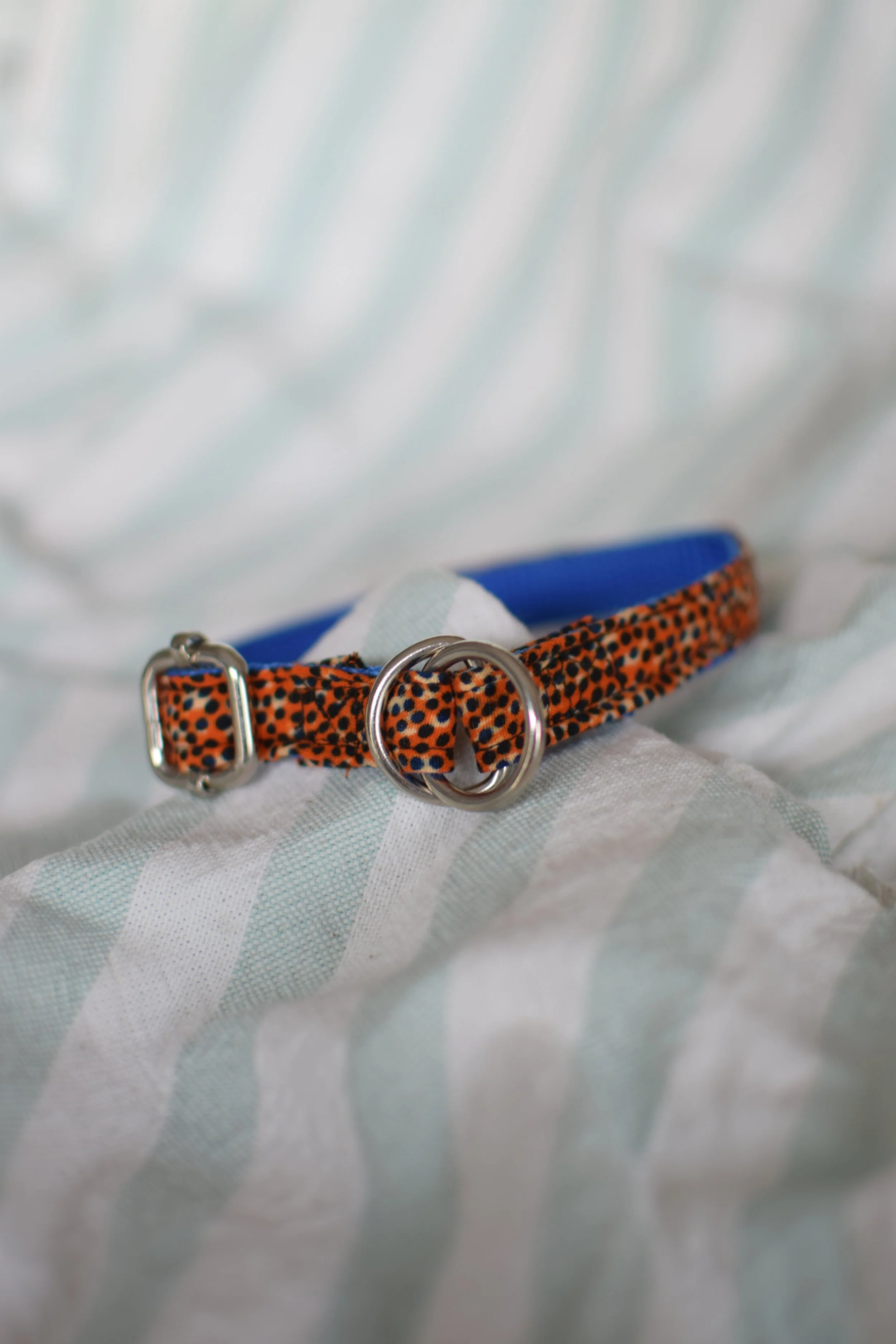 Sprinkled Sunset DSC_0361.JPG