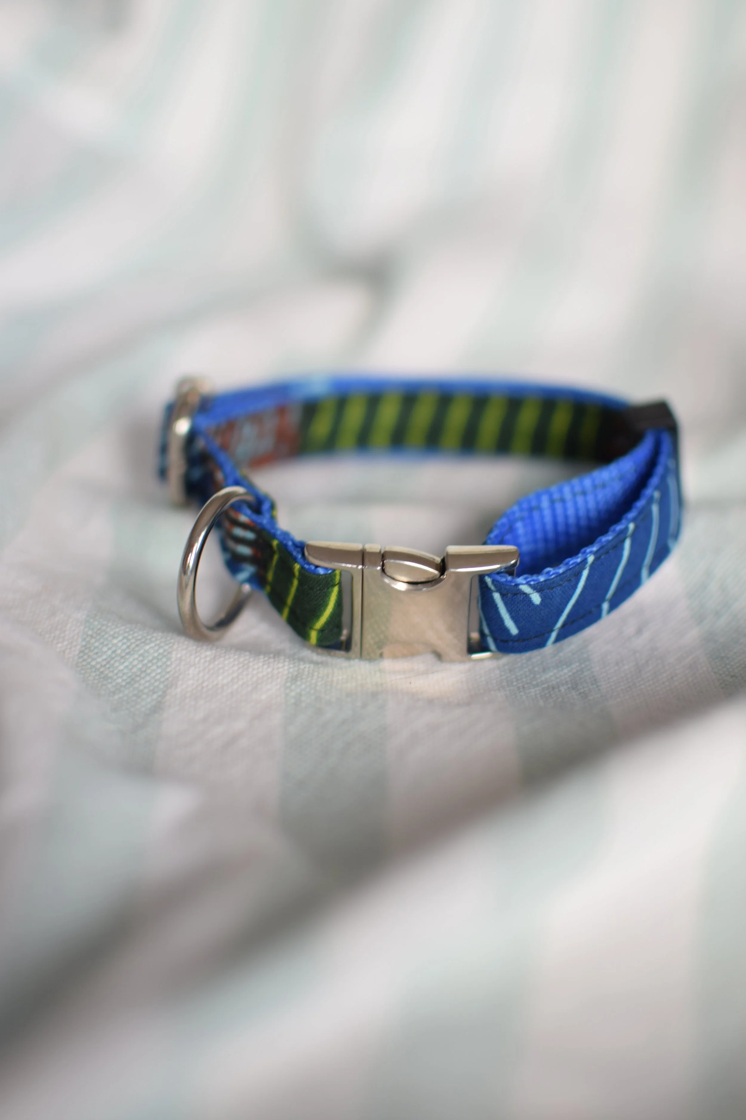 green desert DSC_0388.JPG