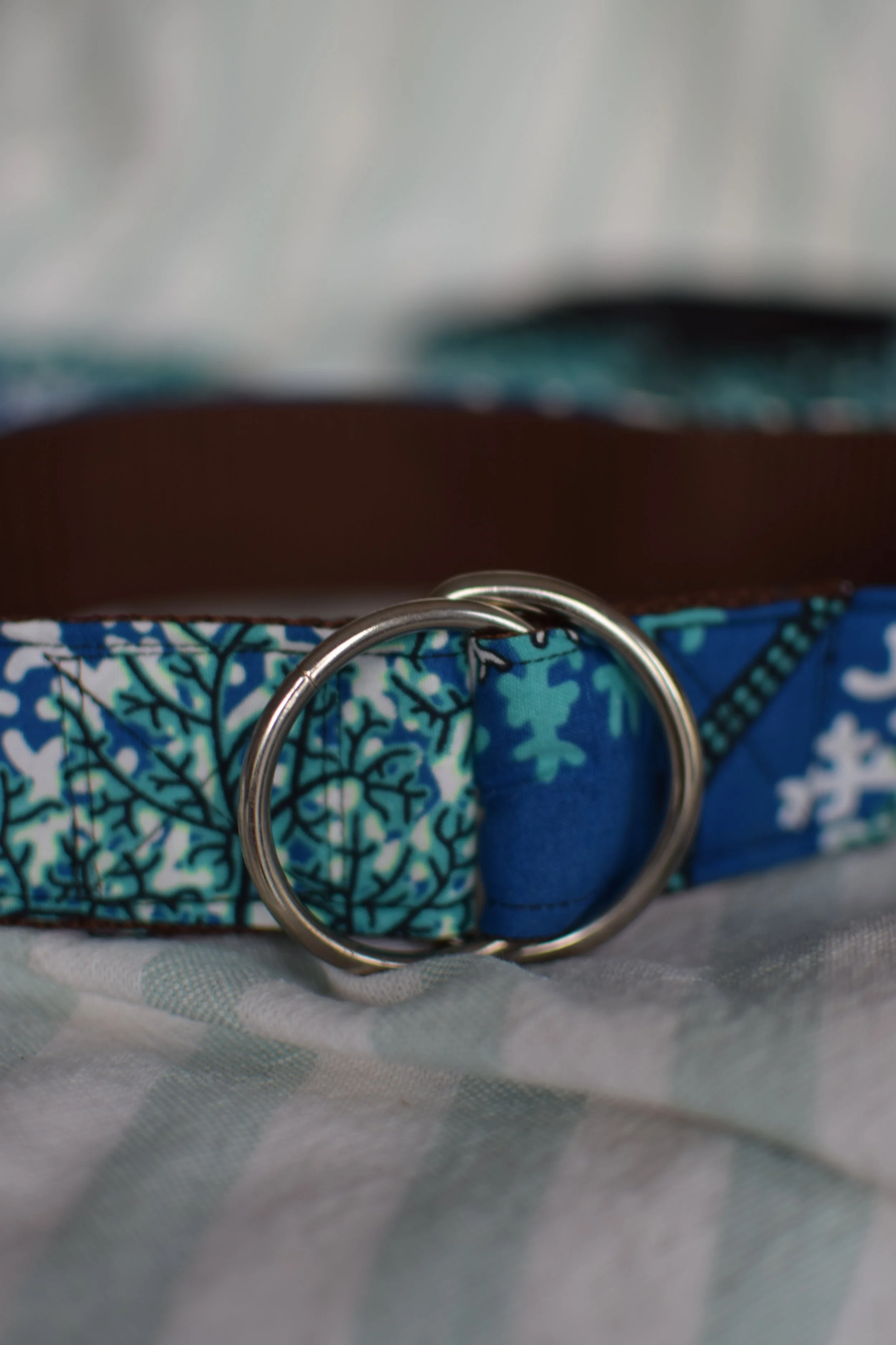 underwater DSC_0487.JPG