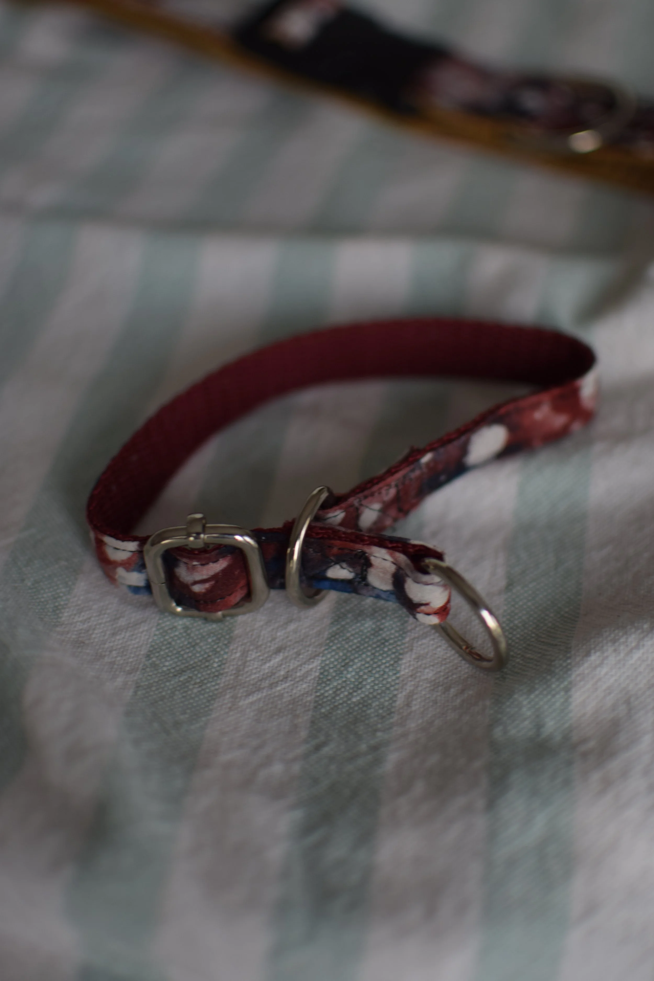 cosmos collar DSC_0516.JPG