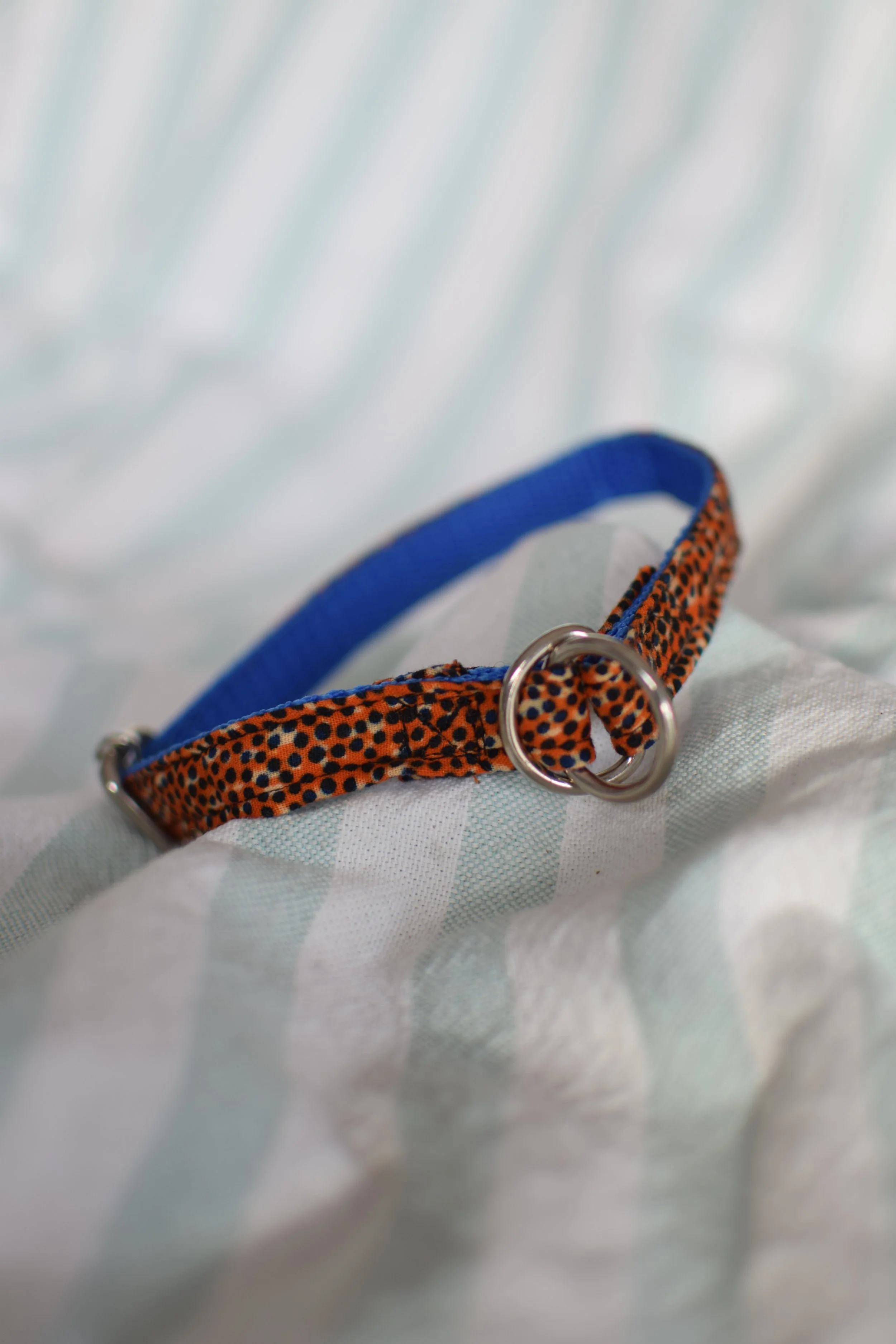 Sprinkled Sunset DSC_0357.JPG