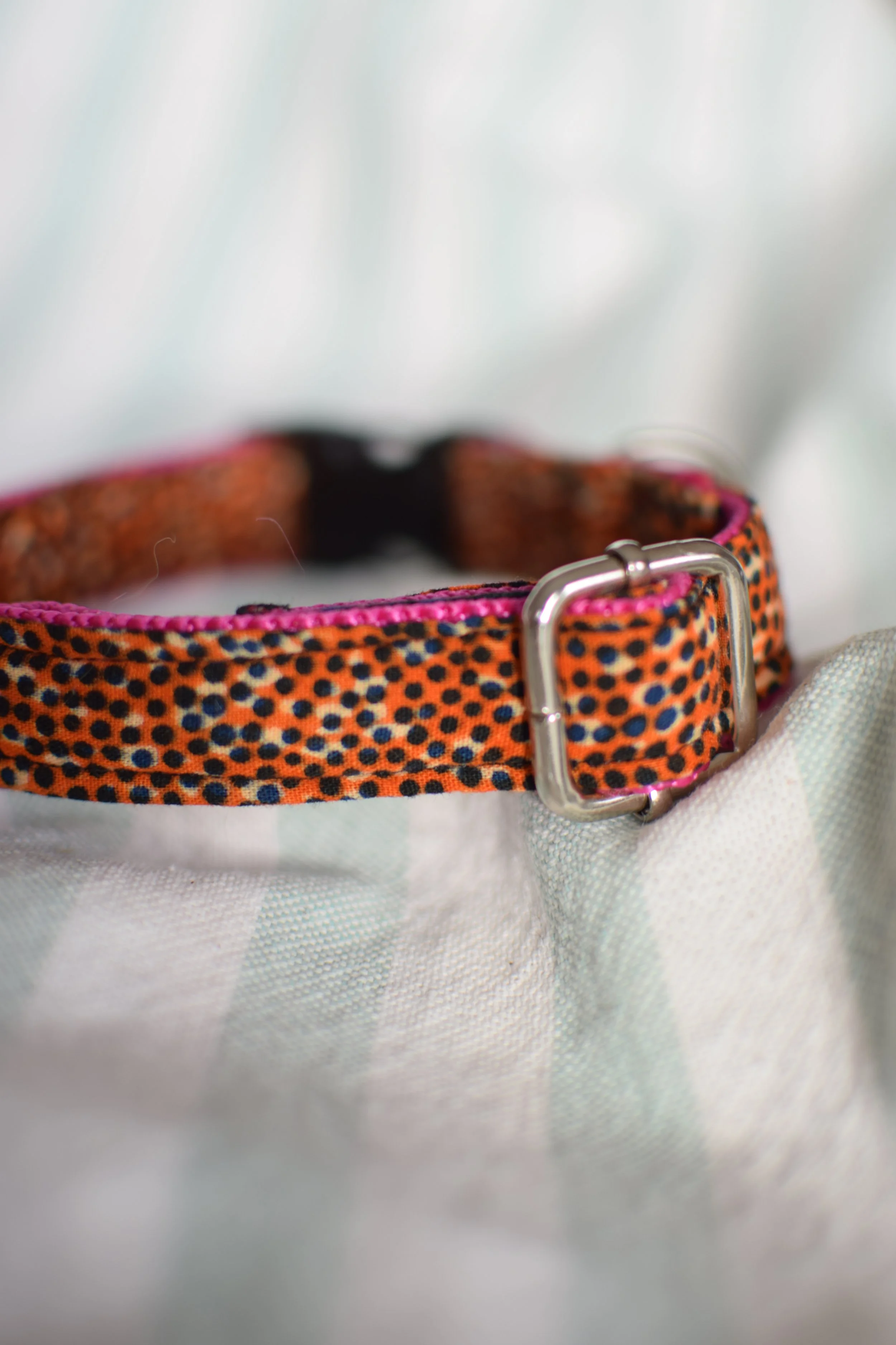 Sprinkled Sunset DSC_0340.JPG