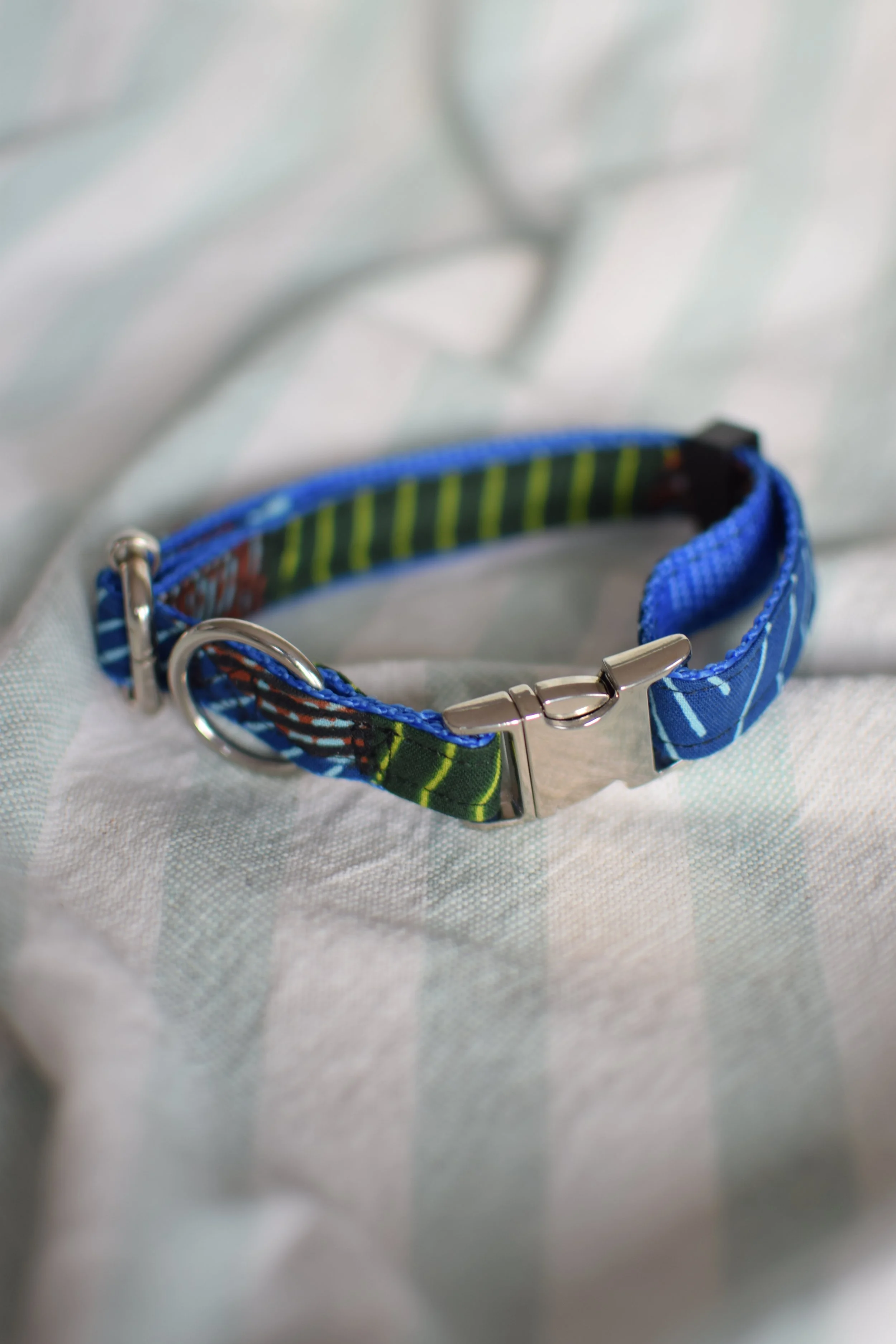 green desert DSC_0382.JPG