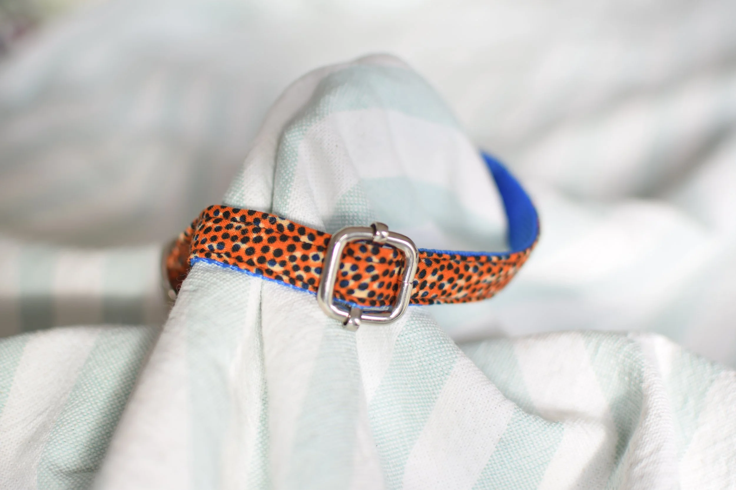 Sprinkled Sunset DSC_0256.JPG