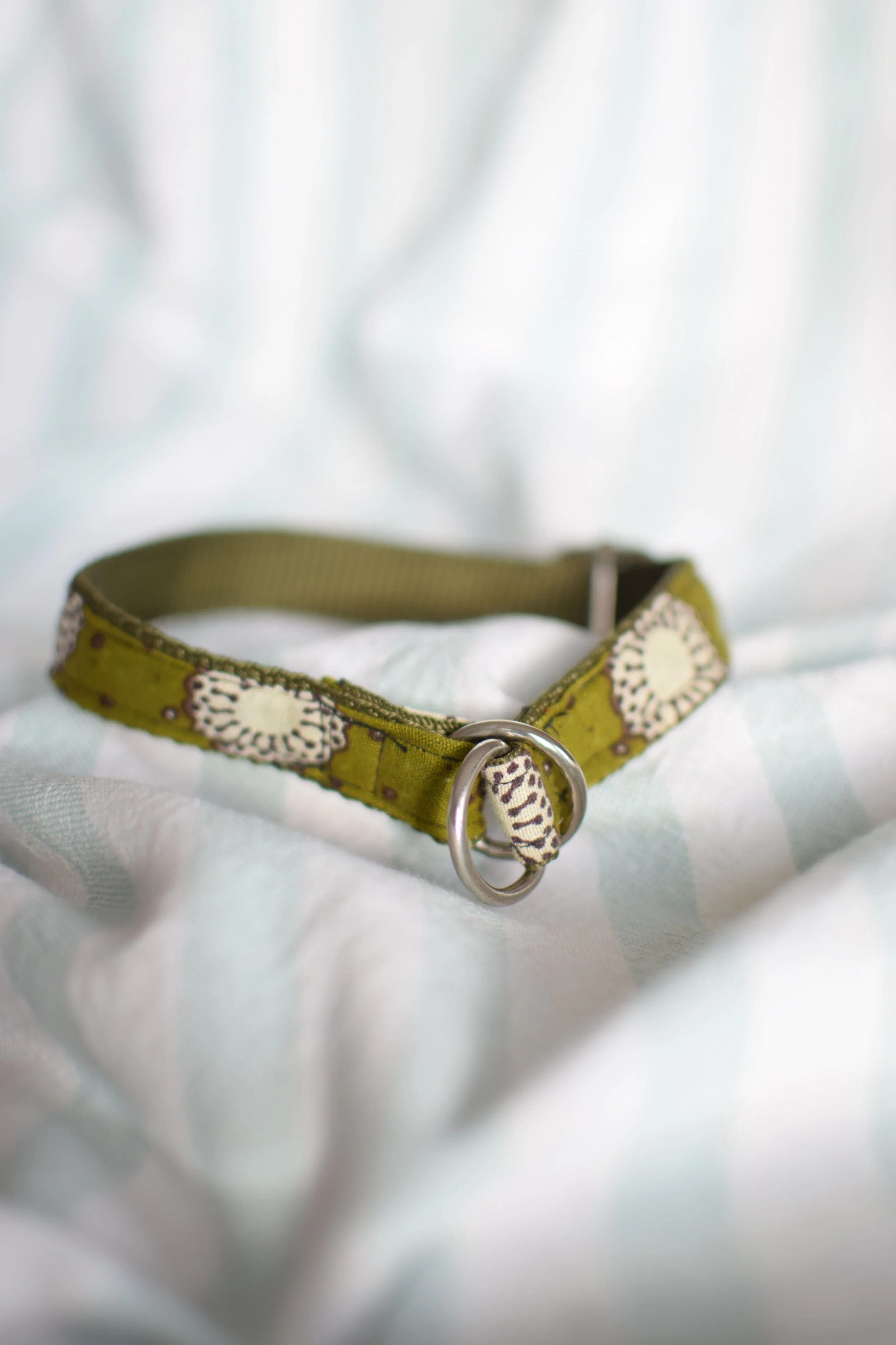 moss green collar DSC_0318.JPG