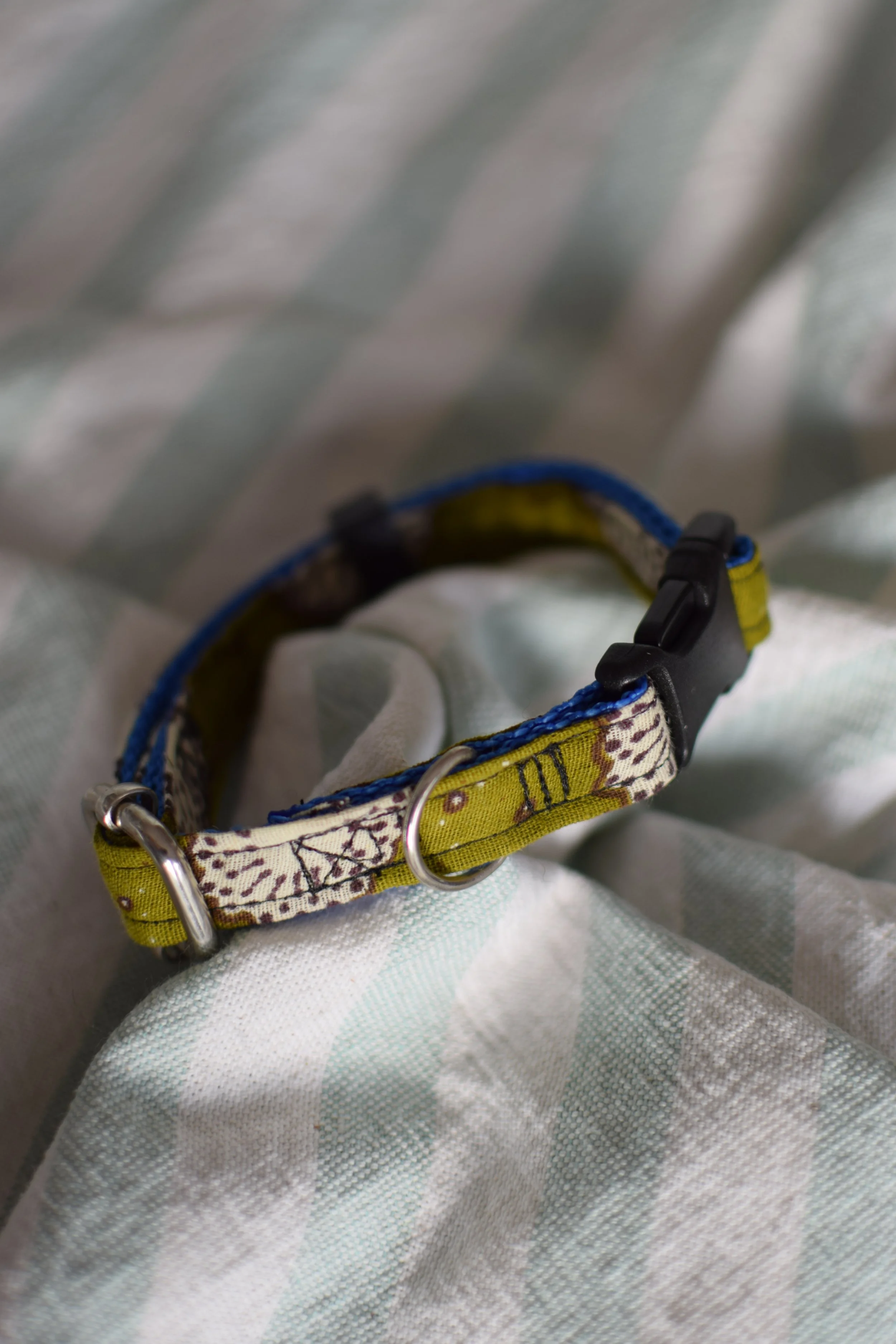 moss green collar DSC_0397.JPG