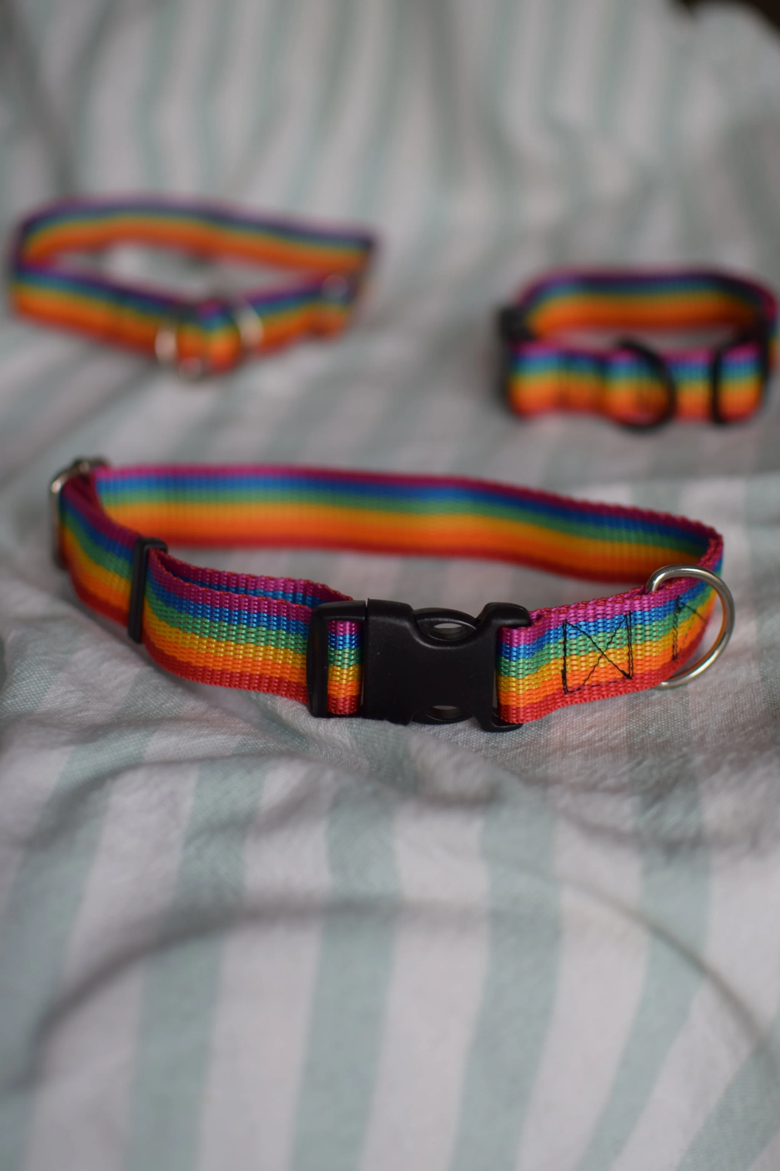 rainbow collar DSC_0536.JPG