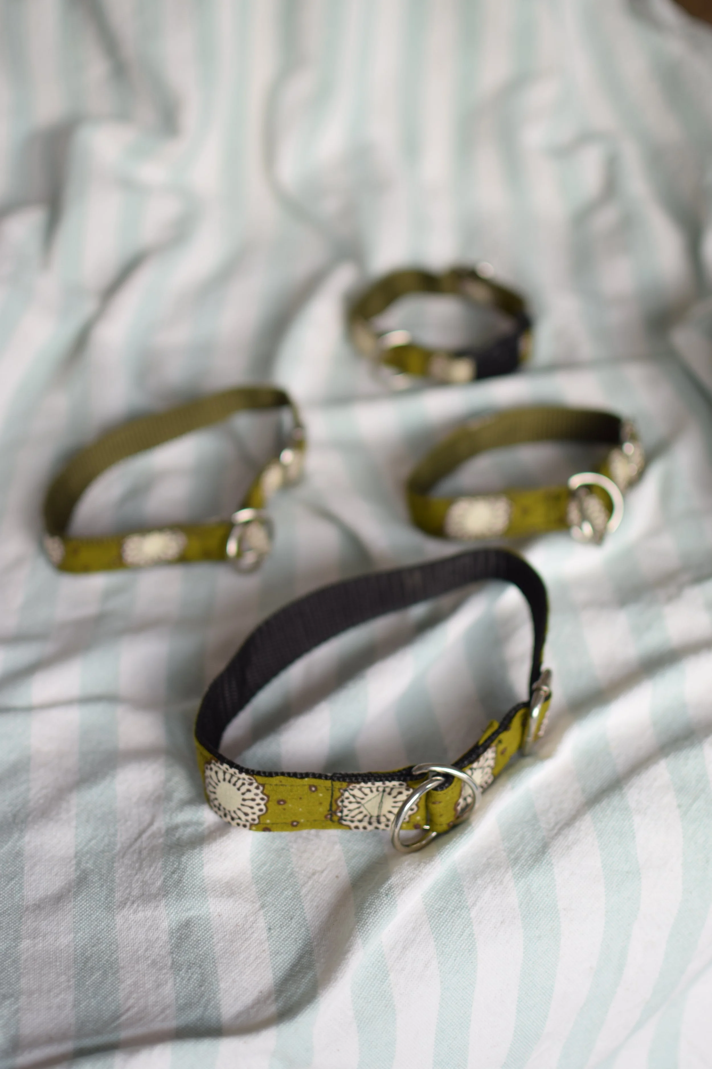 moss green collar DSC_0424.JPG