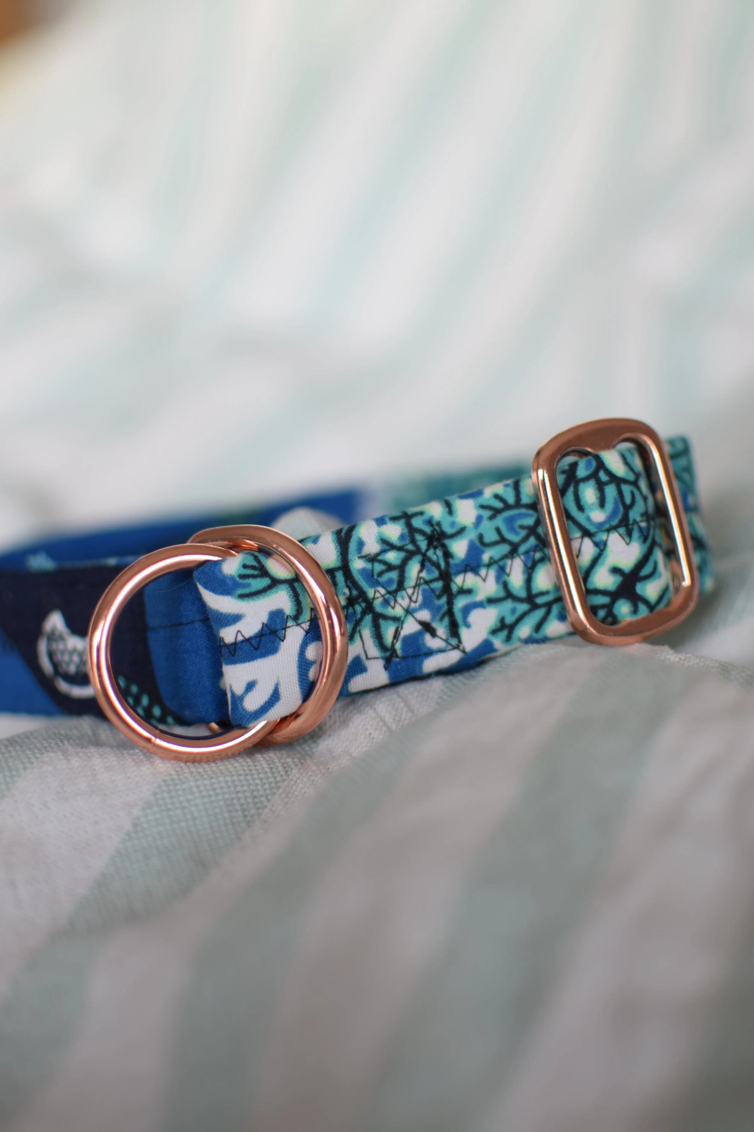 underwater DSC_0363.JPG