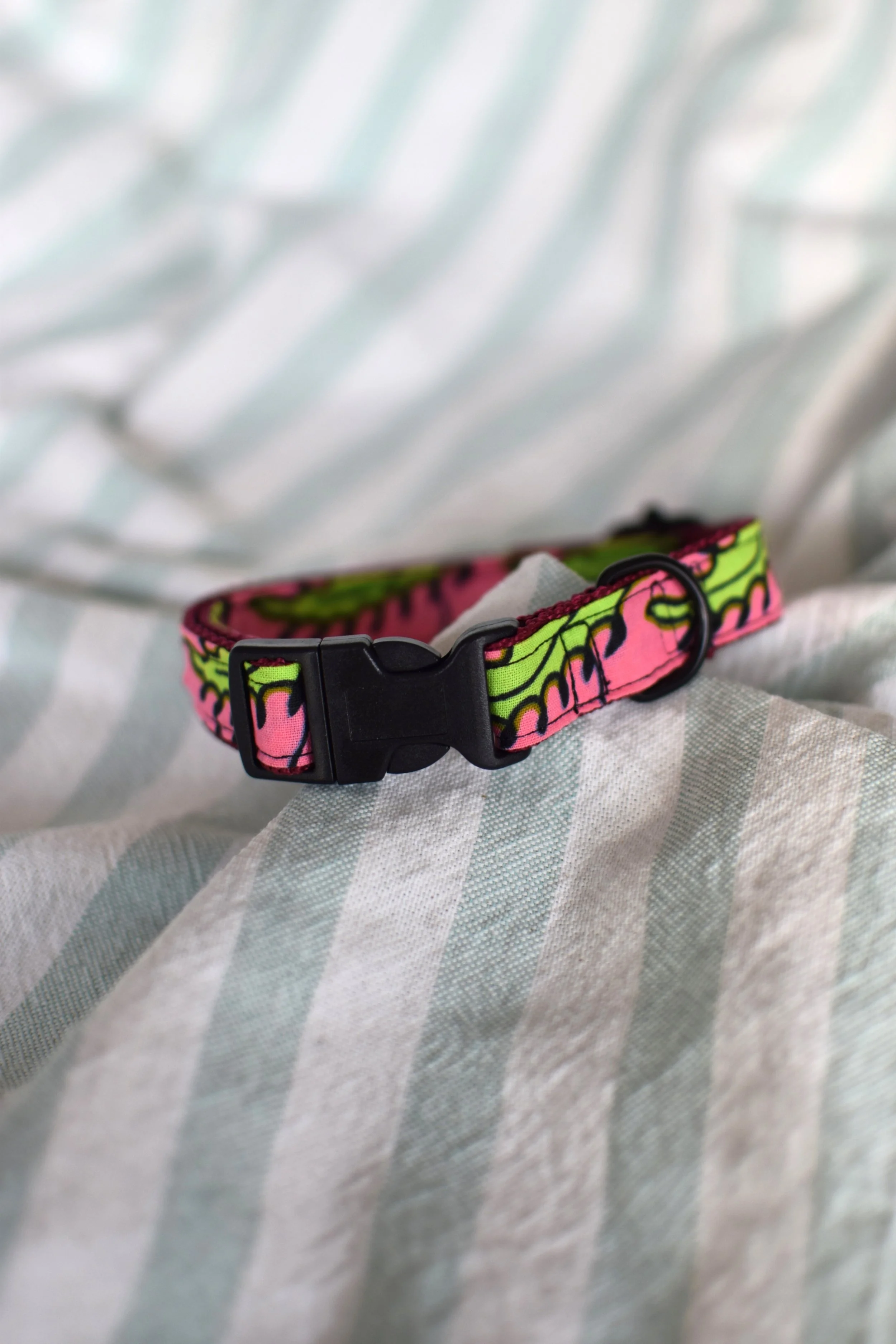 Neon Garden DSC_0373.JPG