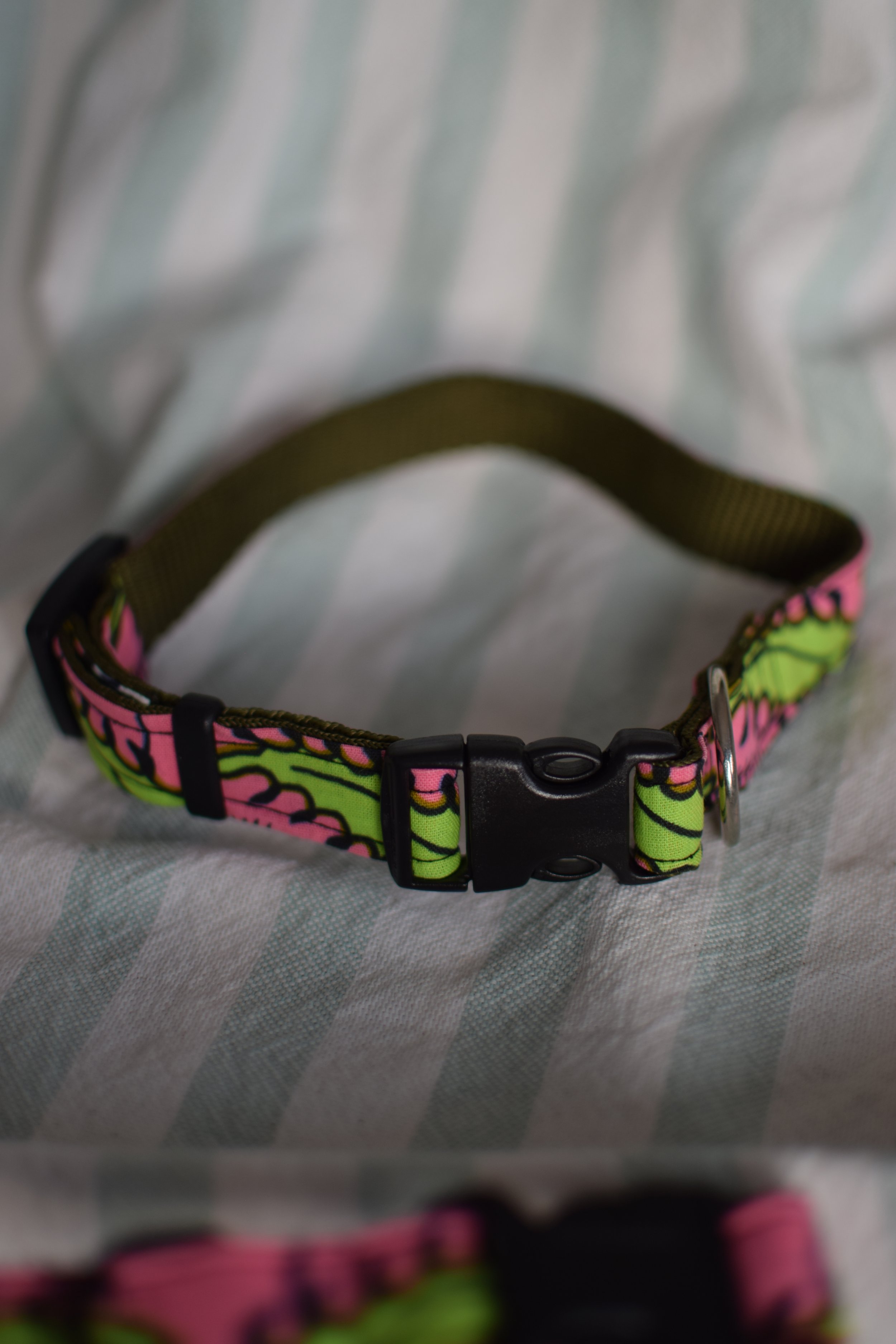 Neon Garden DSC_0459.JPG