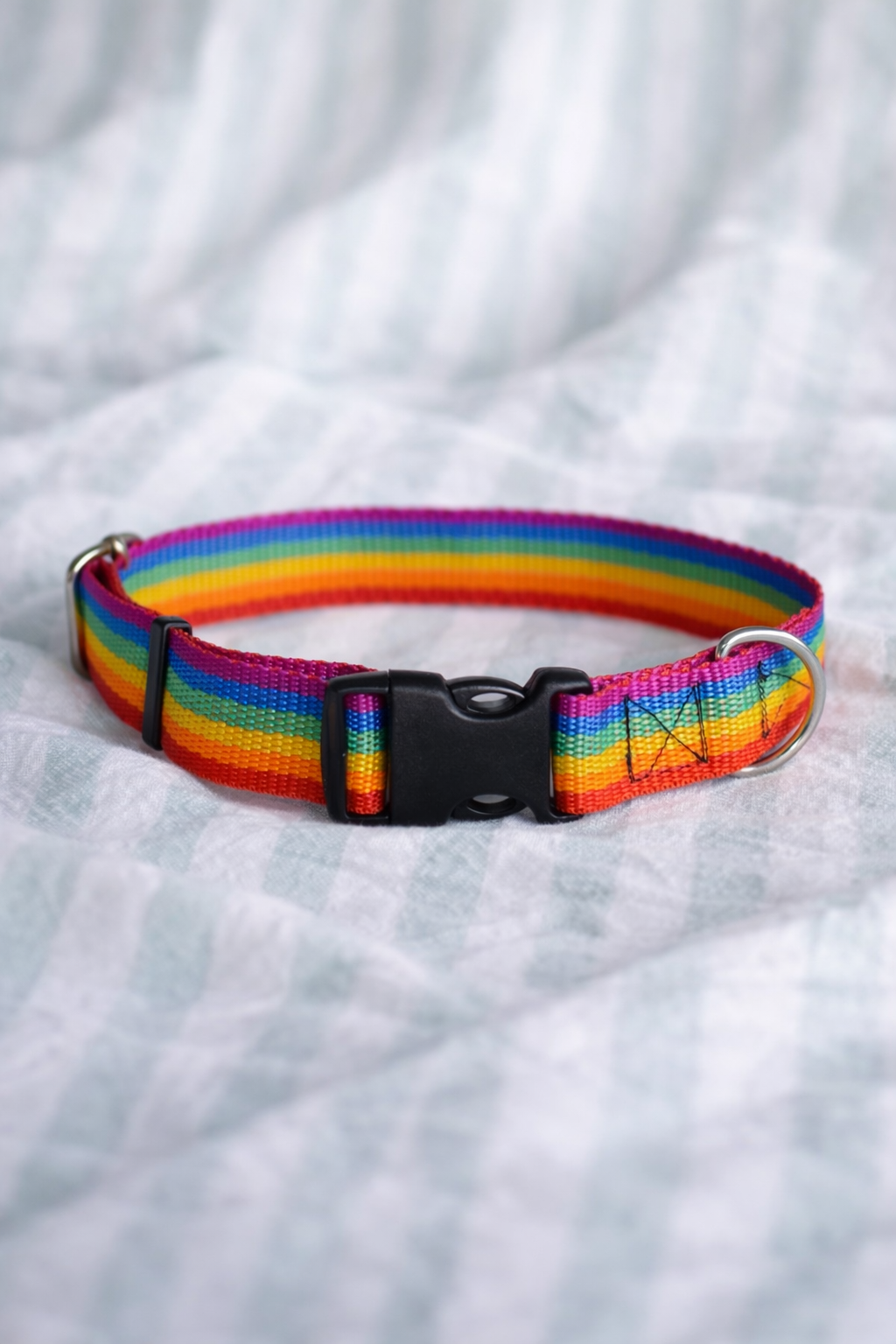 rainbow collar 17_02_2026, 22_56_27.png