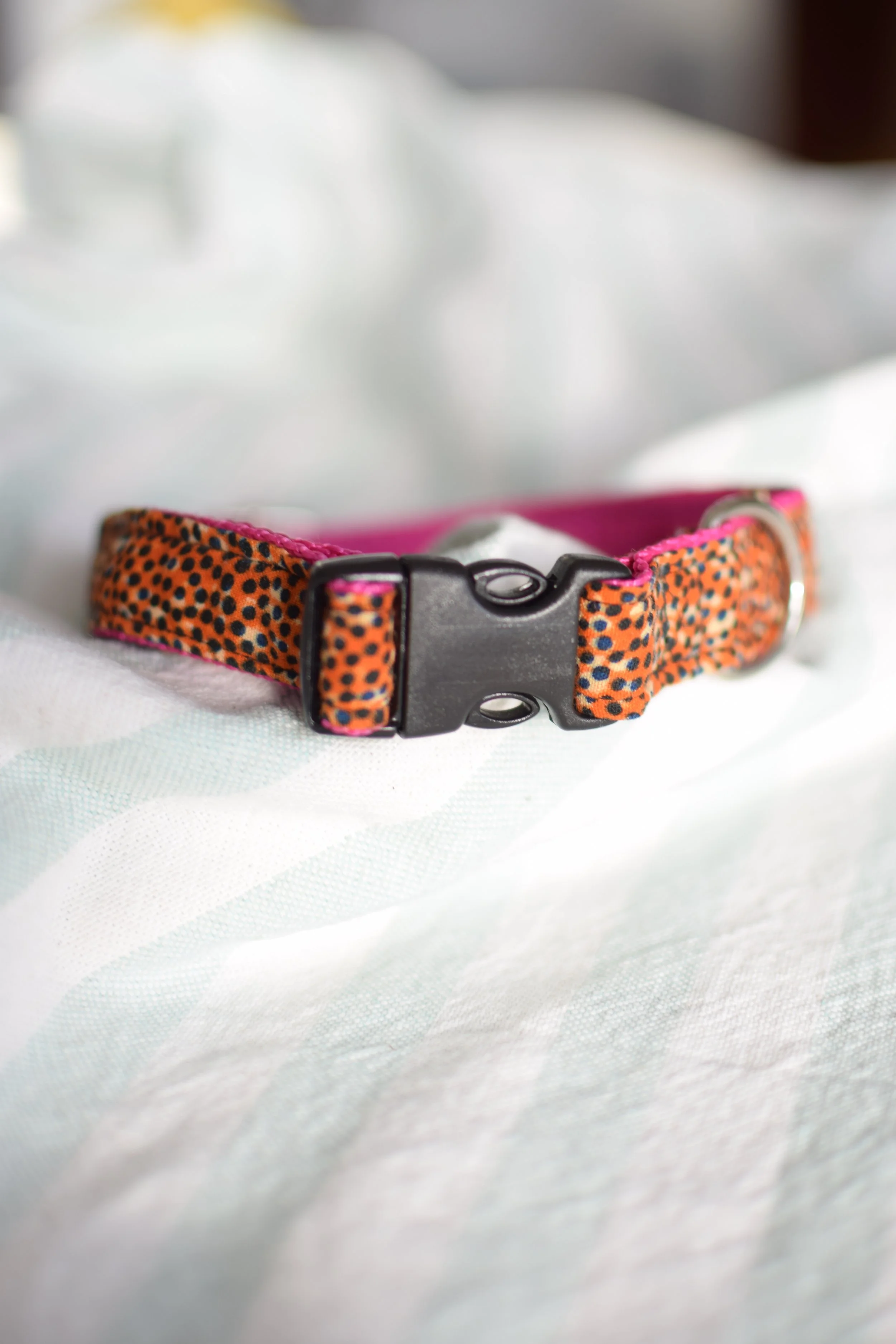 Sprinkled Sunset DSC_0314.JPG