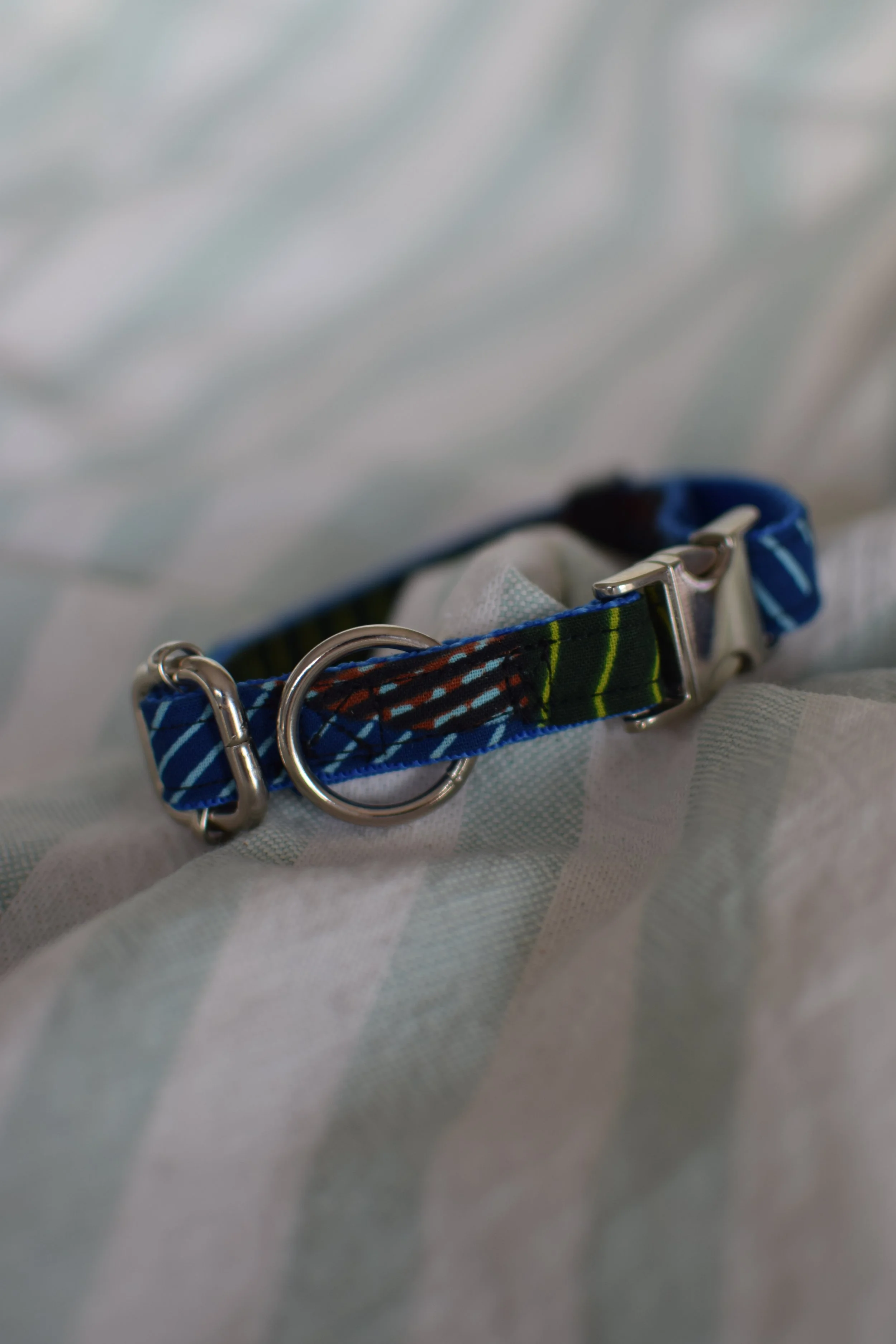 green desert DSC_0384.JPG