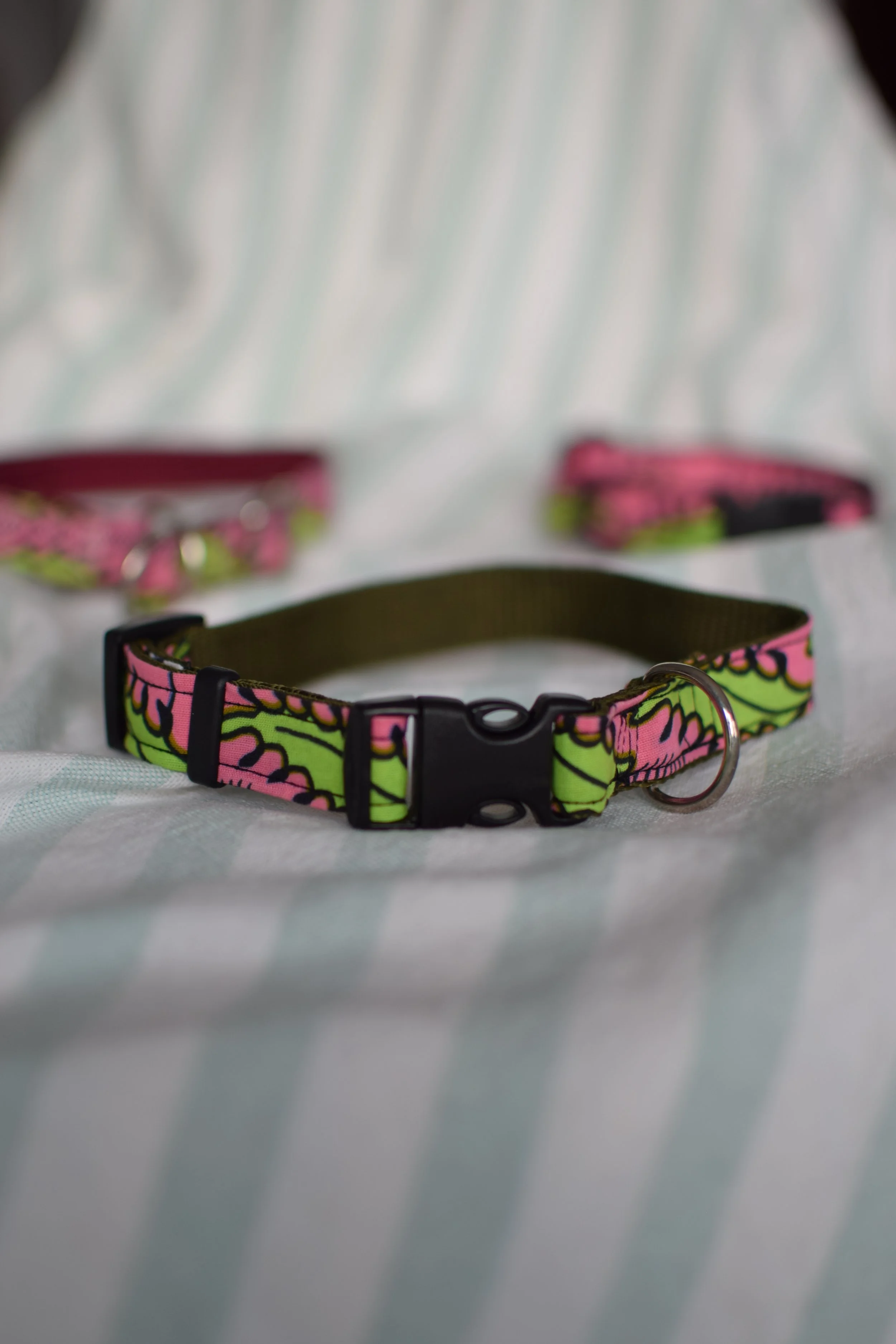 Neon Garden DSC_0471.JPG