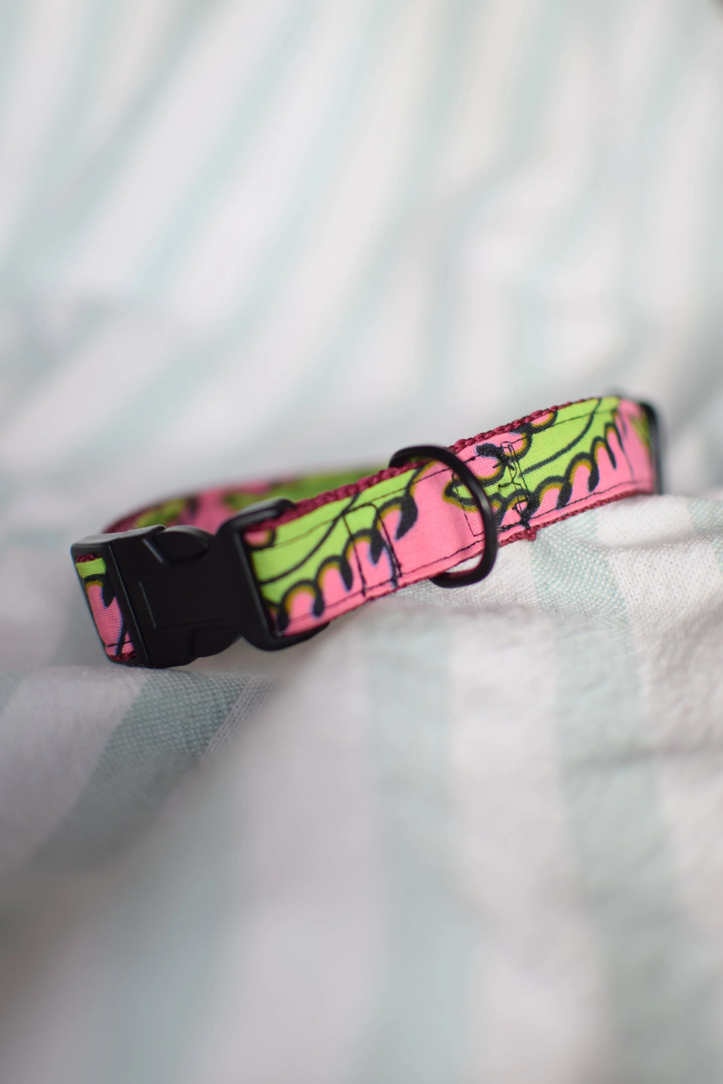 Neon Garden DSC_0377.JPG