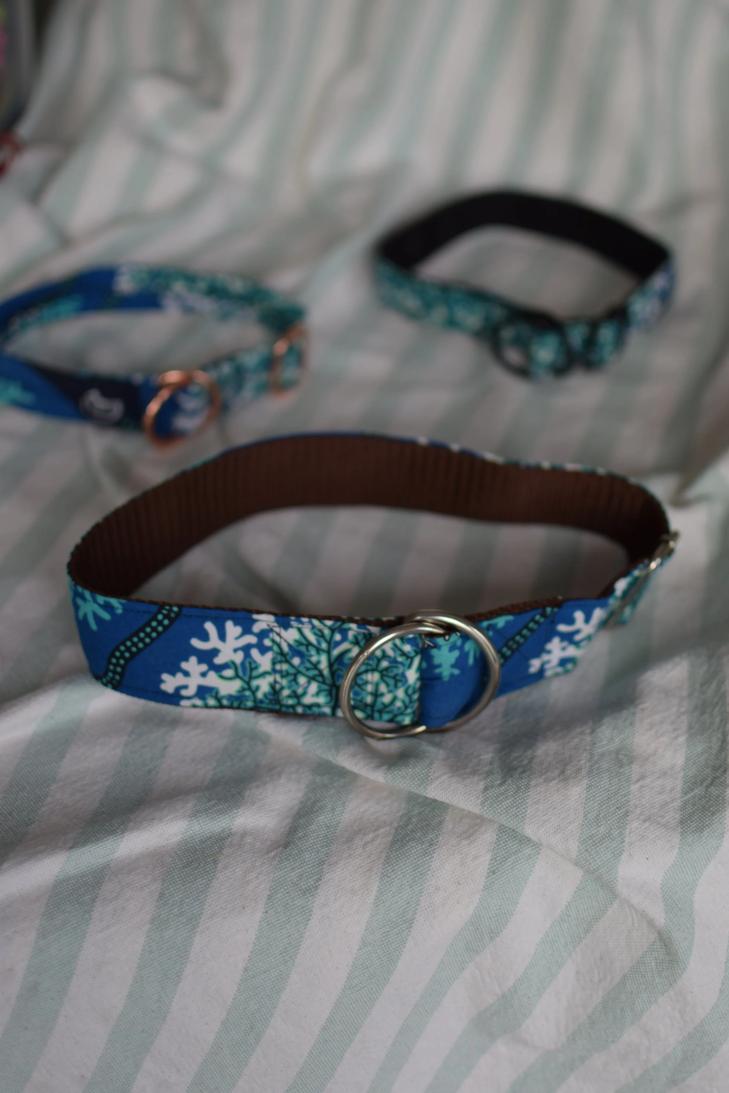 underwater DSC_0486.JPG