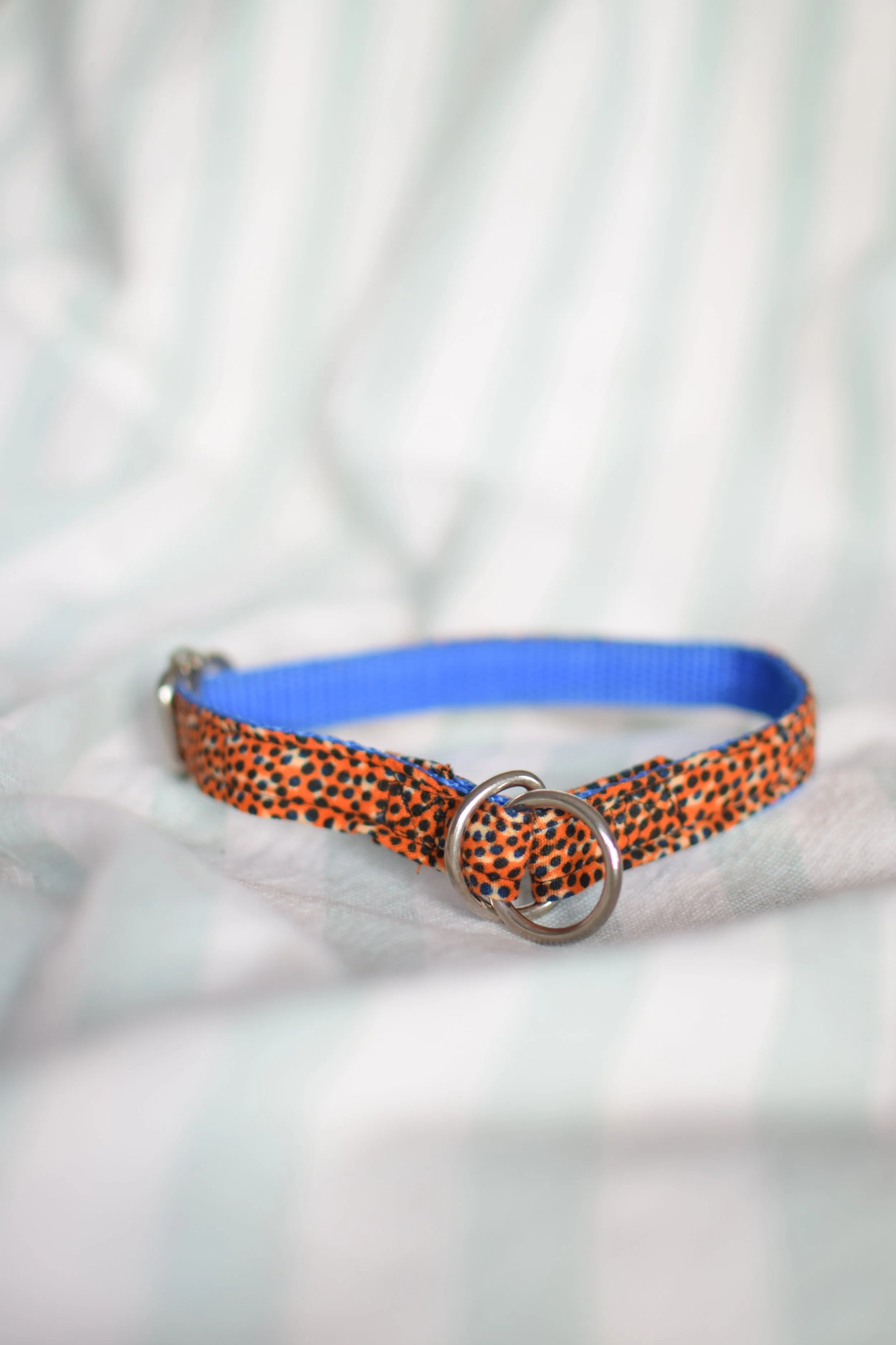 Sprinkled Sunset DSC_0359.JPG