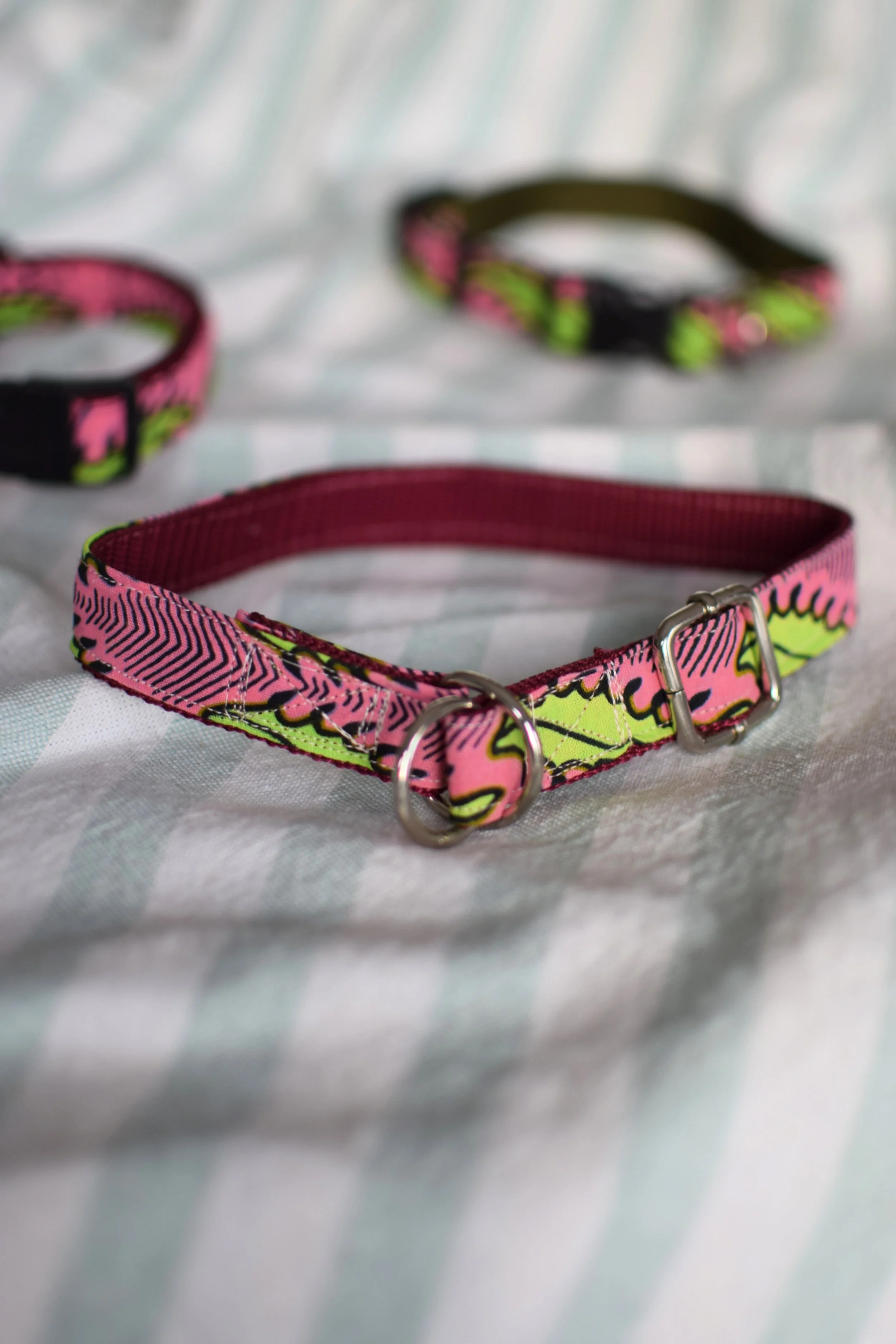 Neon Garden DSC_0462.JPG