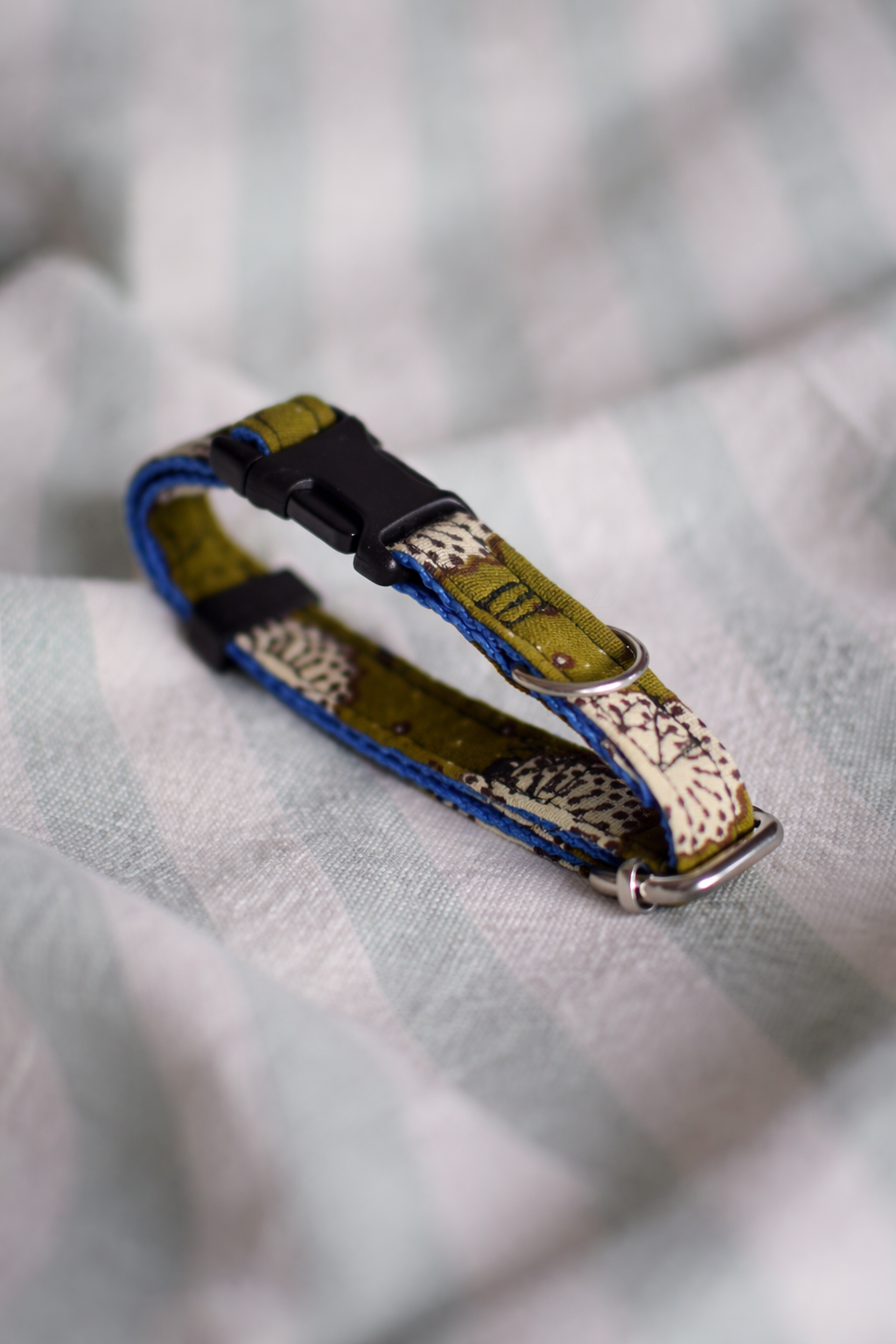 Moss green collar 17_02_2026, 20_38_20.png