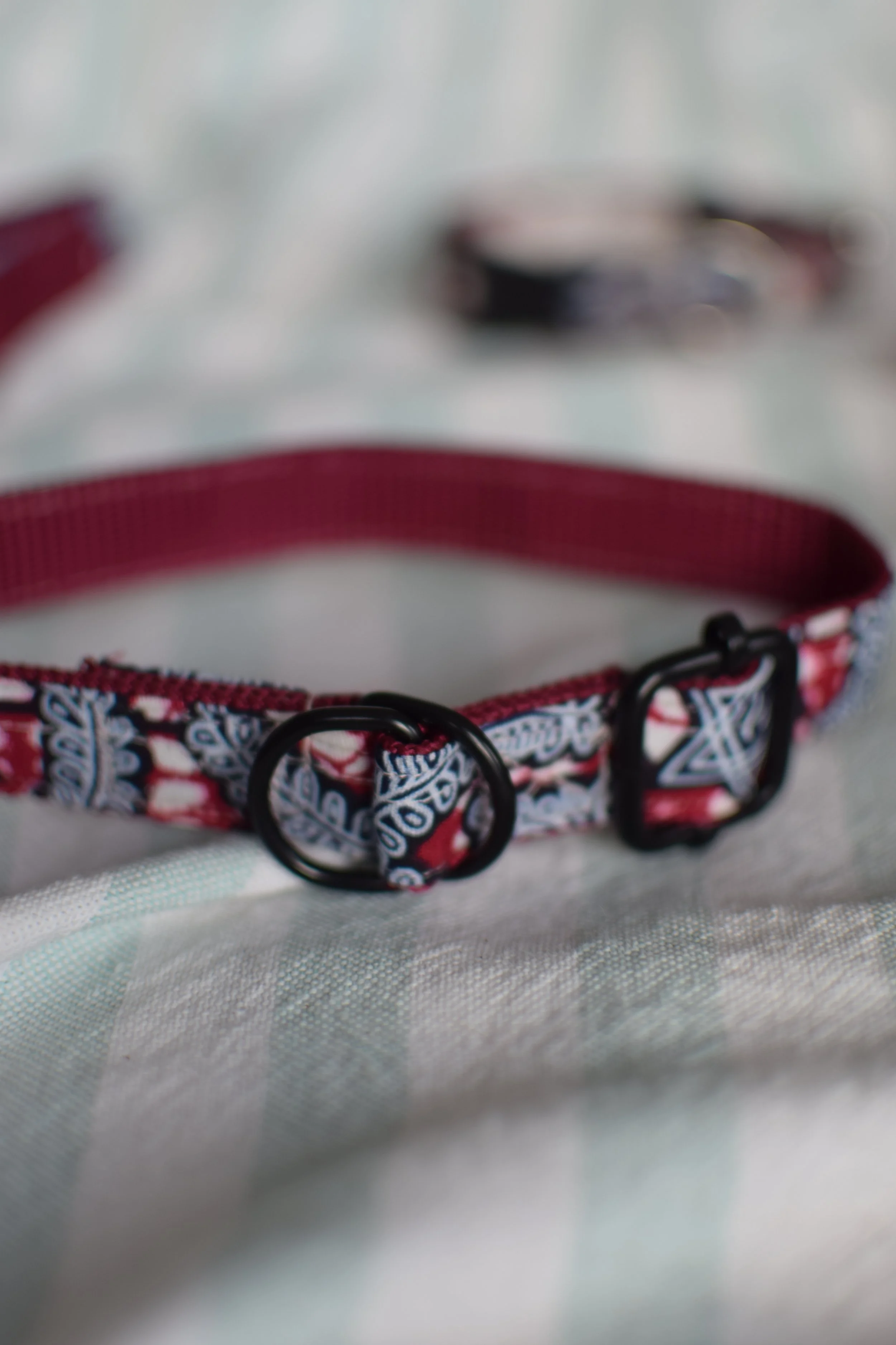 Midnight Date DSC_0452.JPG