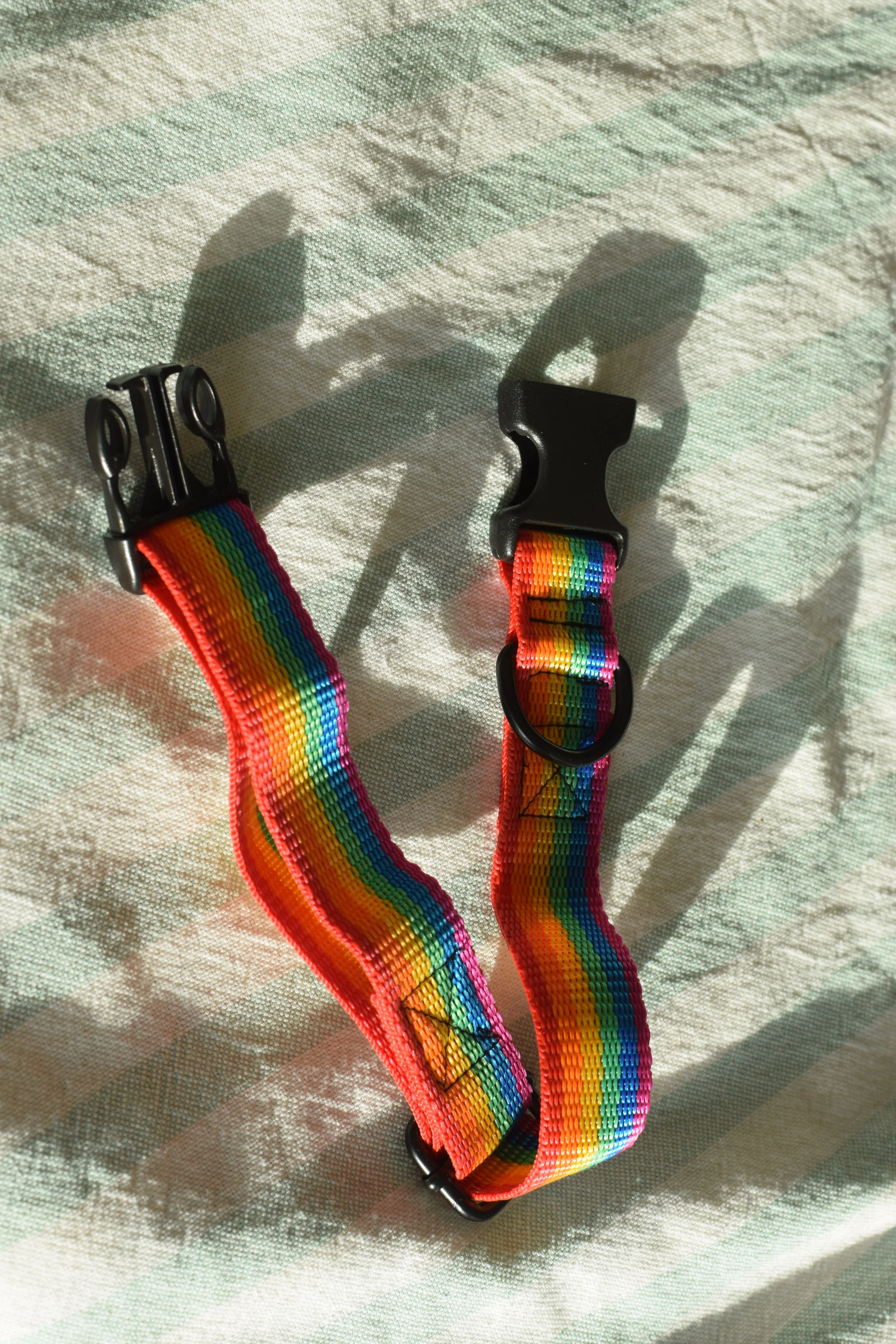 rainbow collar DSC_0304.JPG