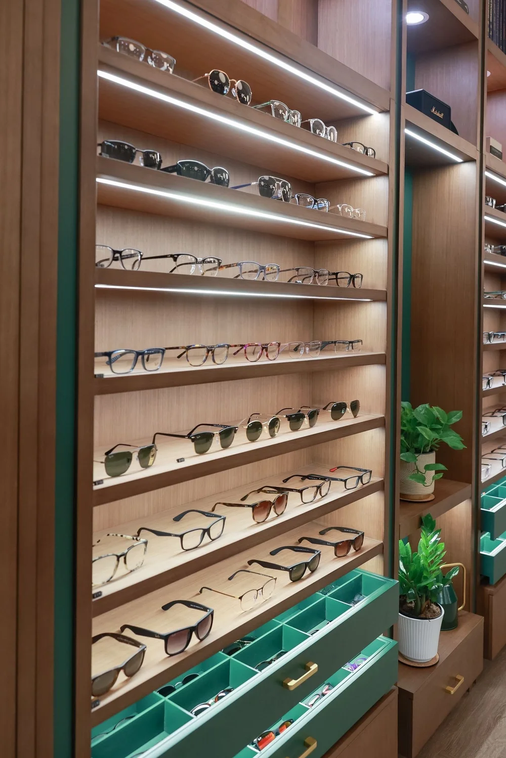 The frame wall at Buckhead Eyecare — warm wood shelving, lit rails and rows of frames on the practice's signature green trays.