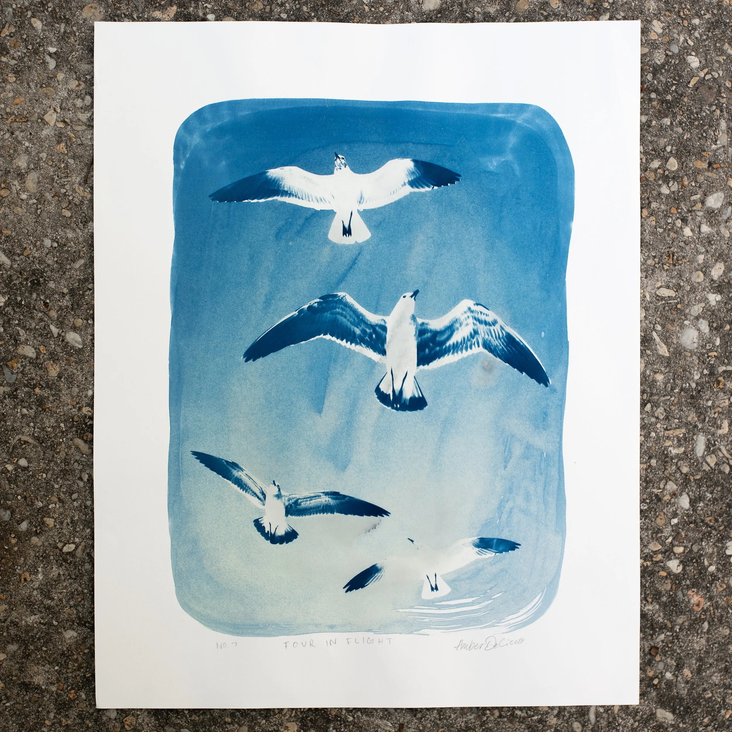 cyanotypes-fourinflight-no07.jpg