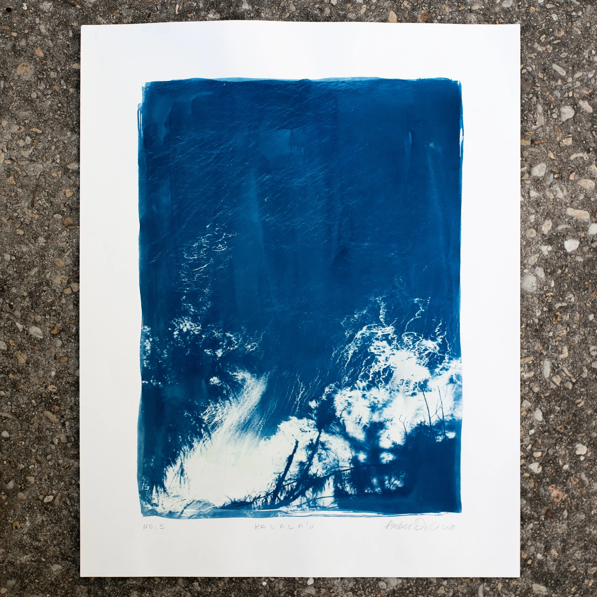 cyanotypes-kalalau-no-05.jpg