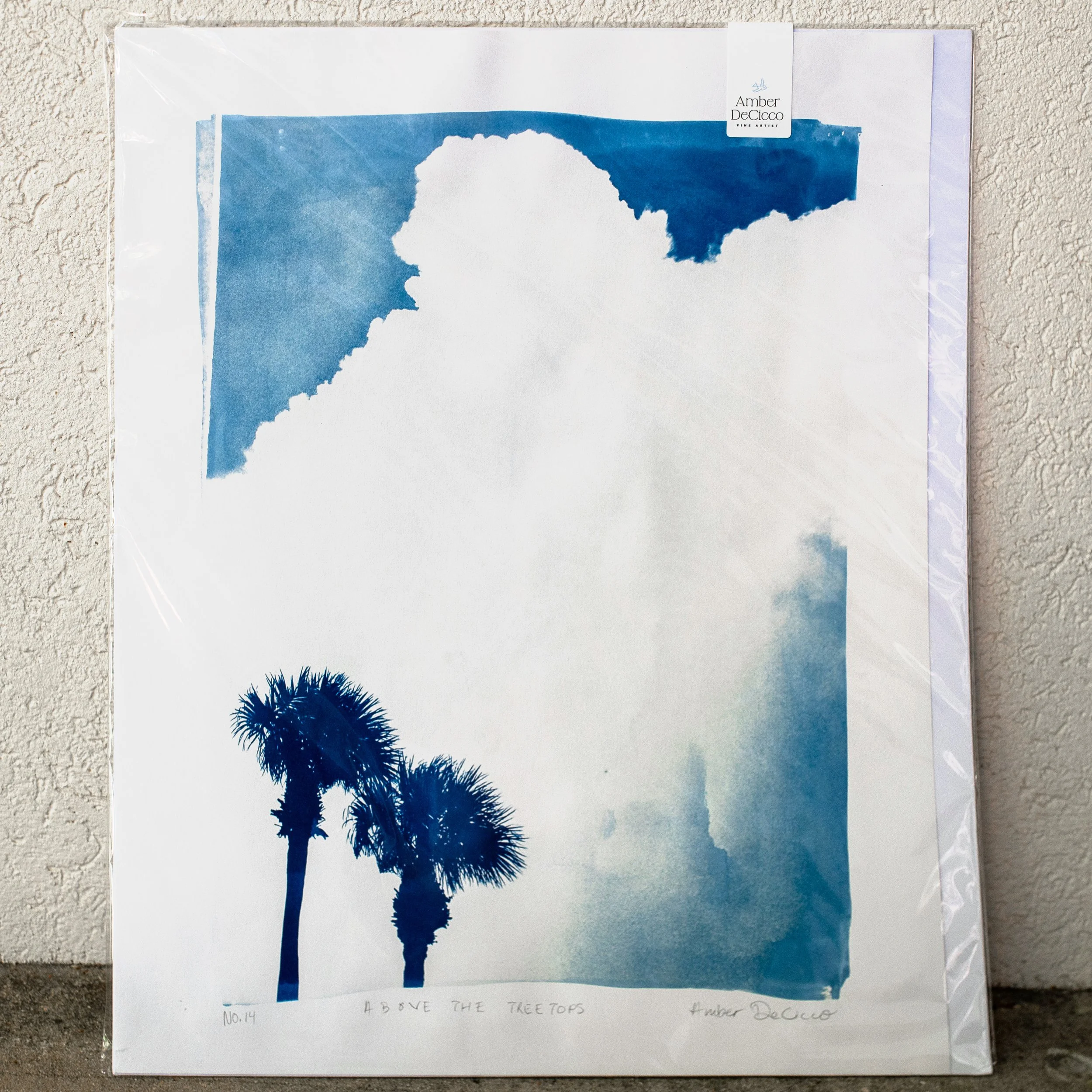 cyanotypes-abovethetreetops-no14.jpg