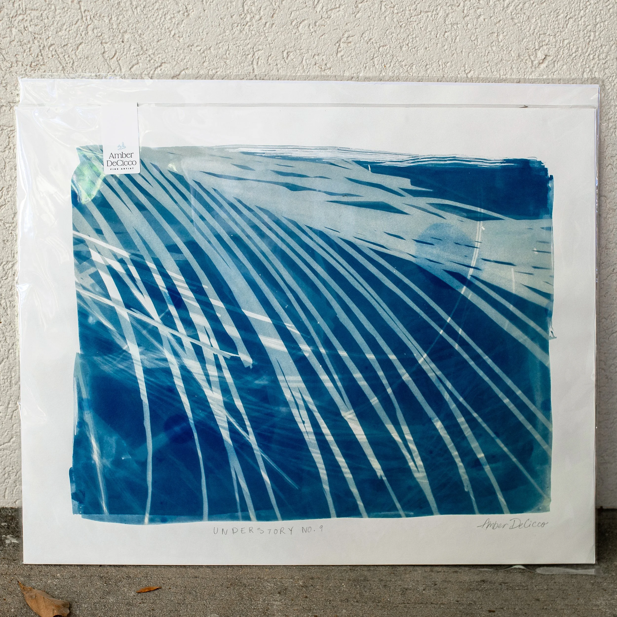 cyanotypes-understory-no9.jpg