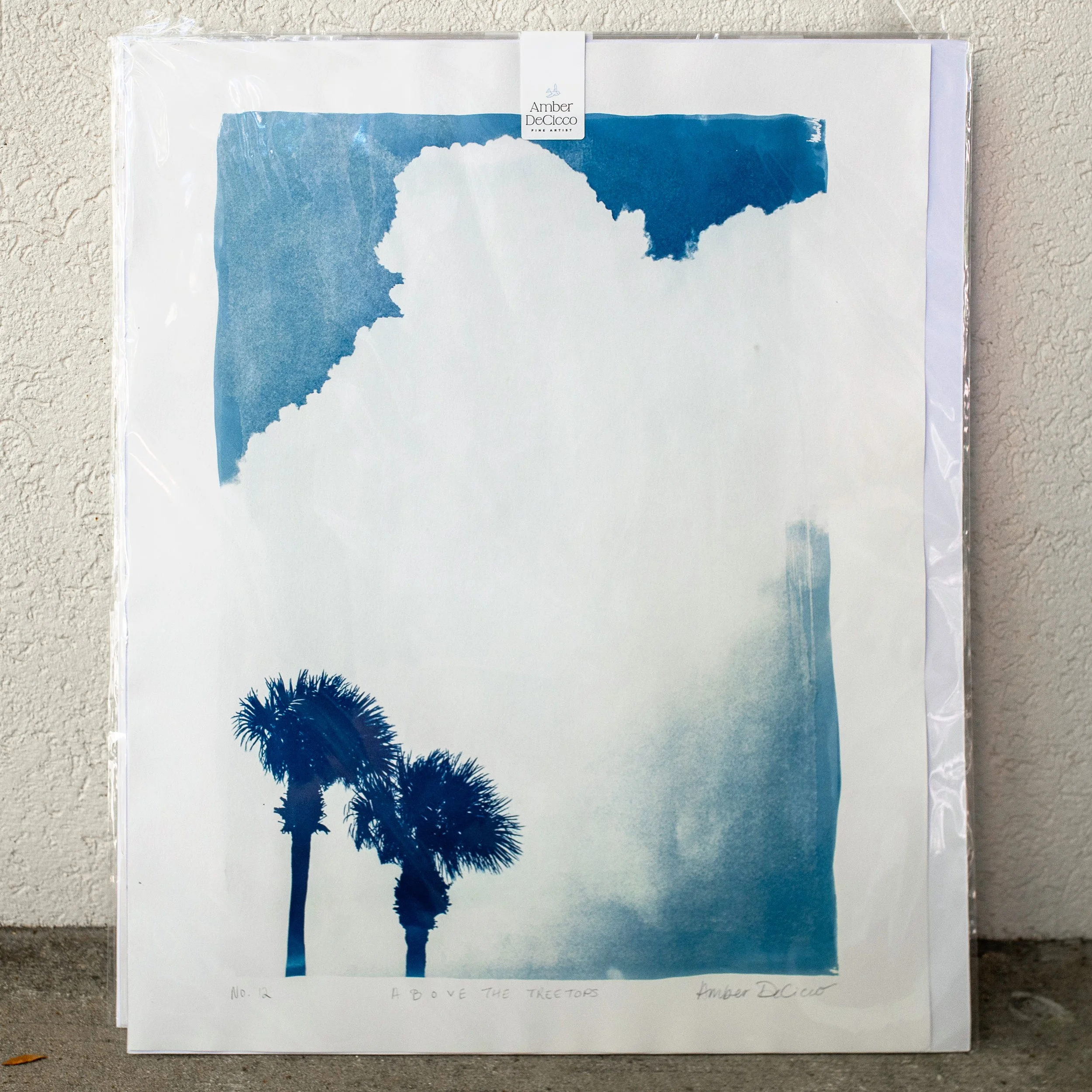 cyanotypes-abovethetreetops-no12.jpg