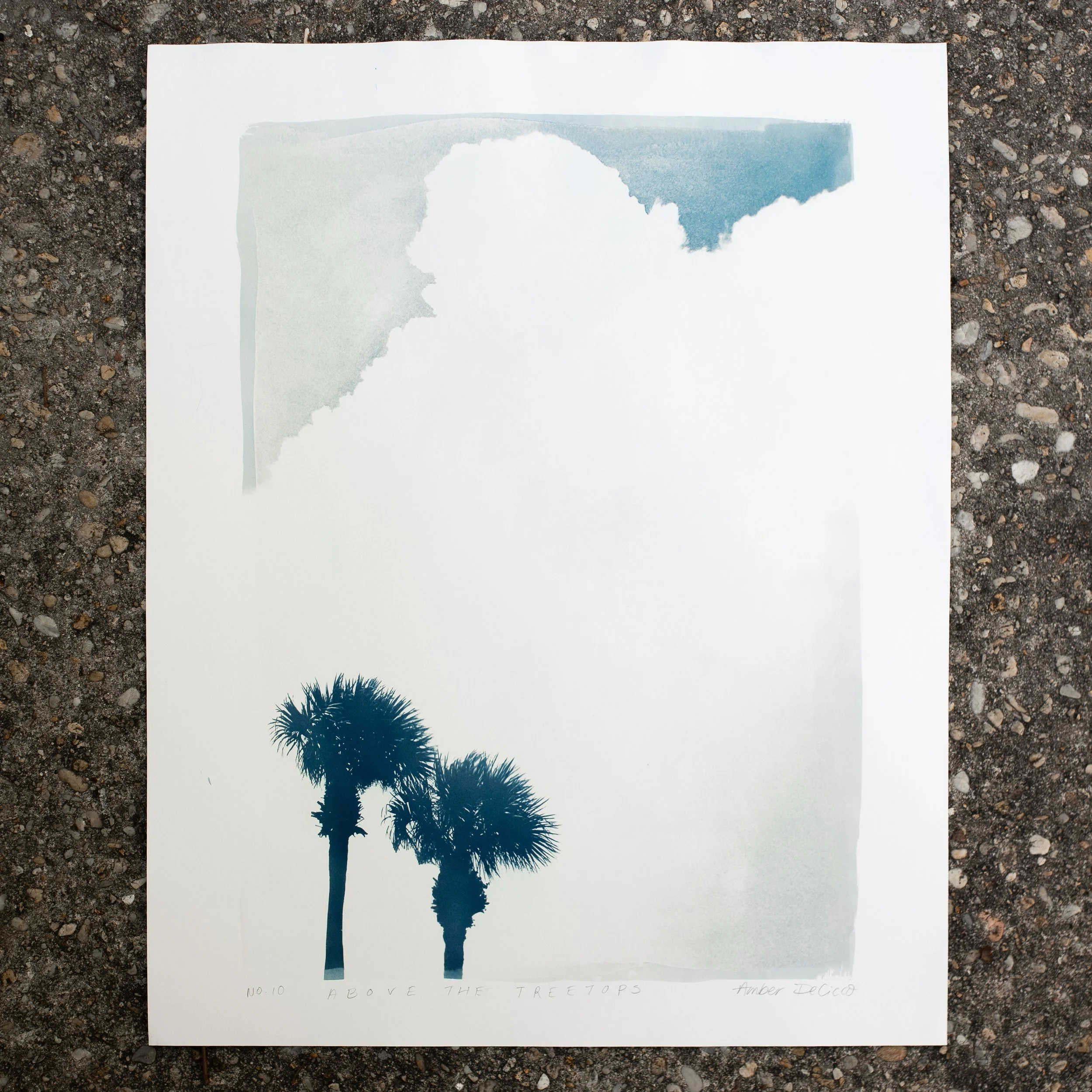 cyanotypes-abovethetreetops-no10.jpg