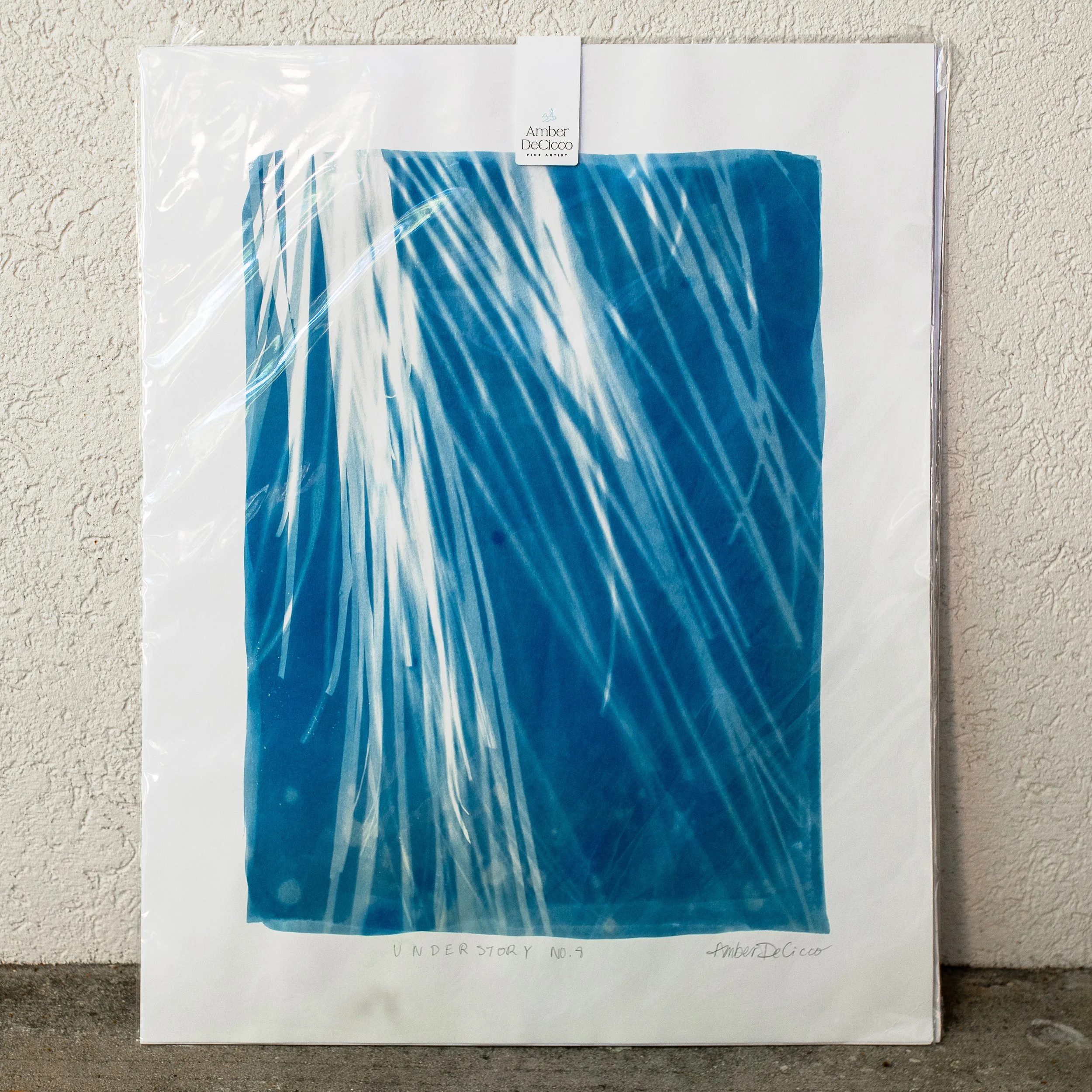 cyanotypes-understory-no8.jpg
