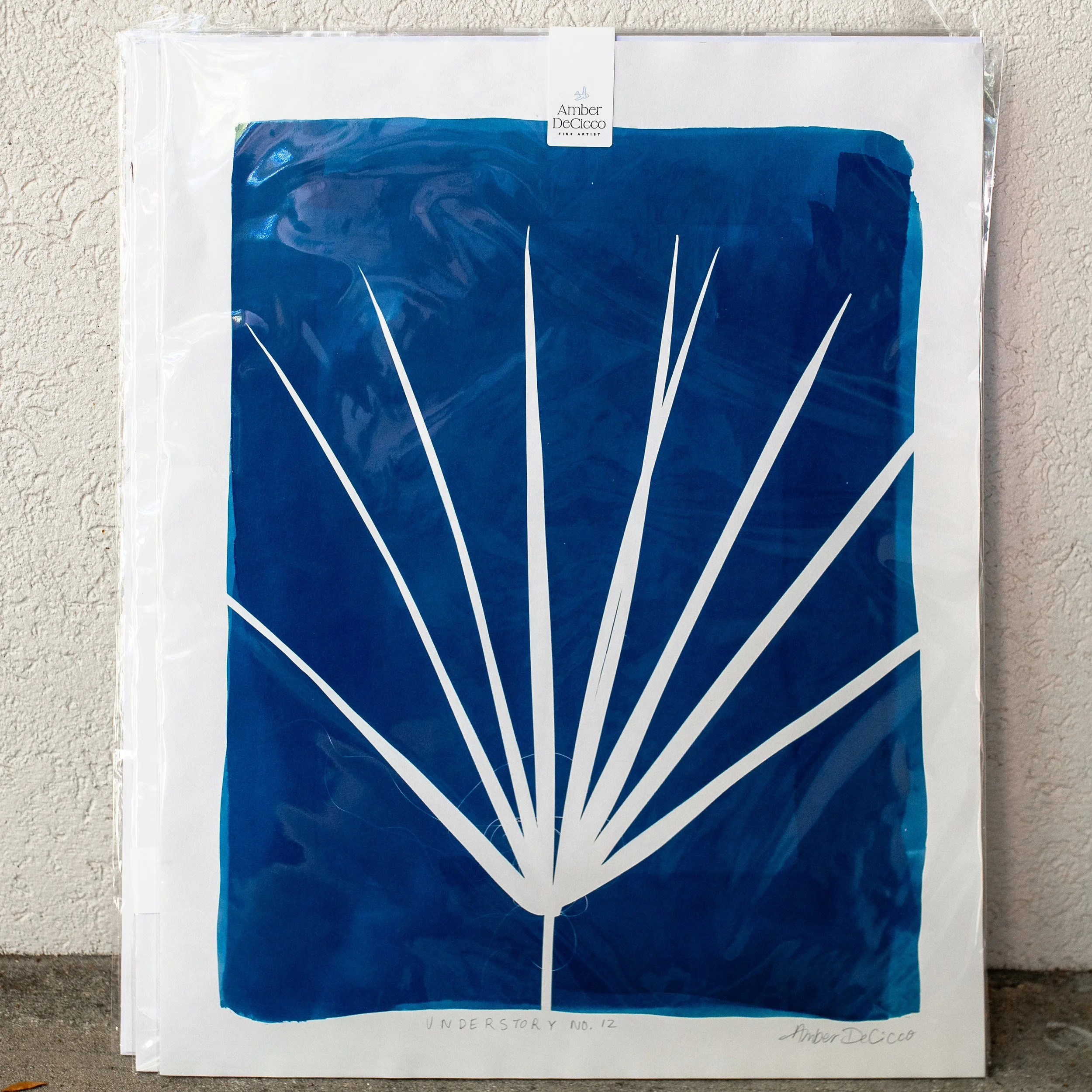 cyanotypes-understory-12.jpg
