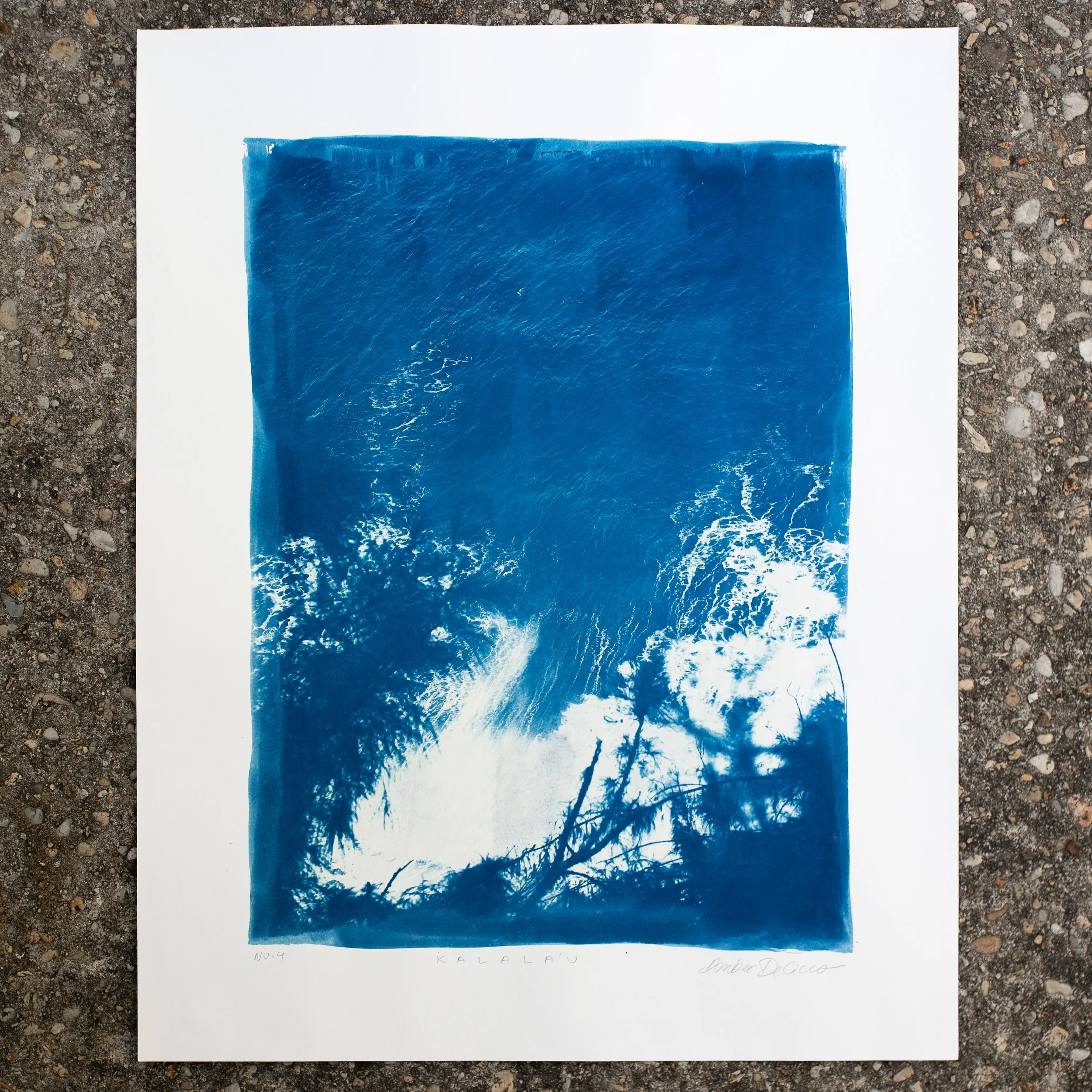 Kalala'u  |  Original Cynotype