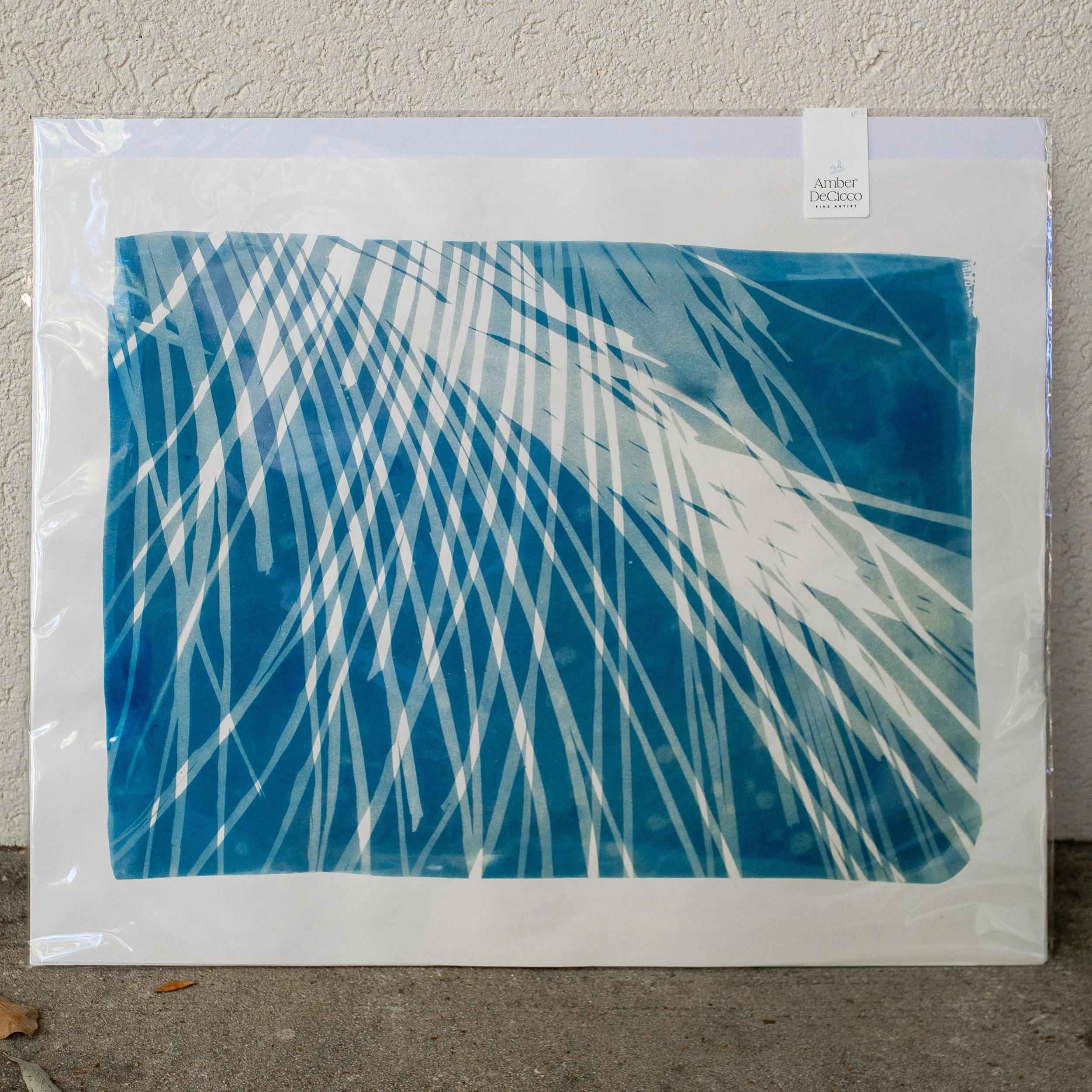 cyanotypes-understory-no-01.jpg