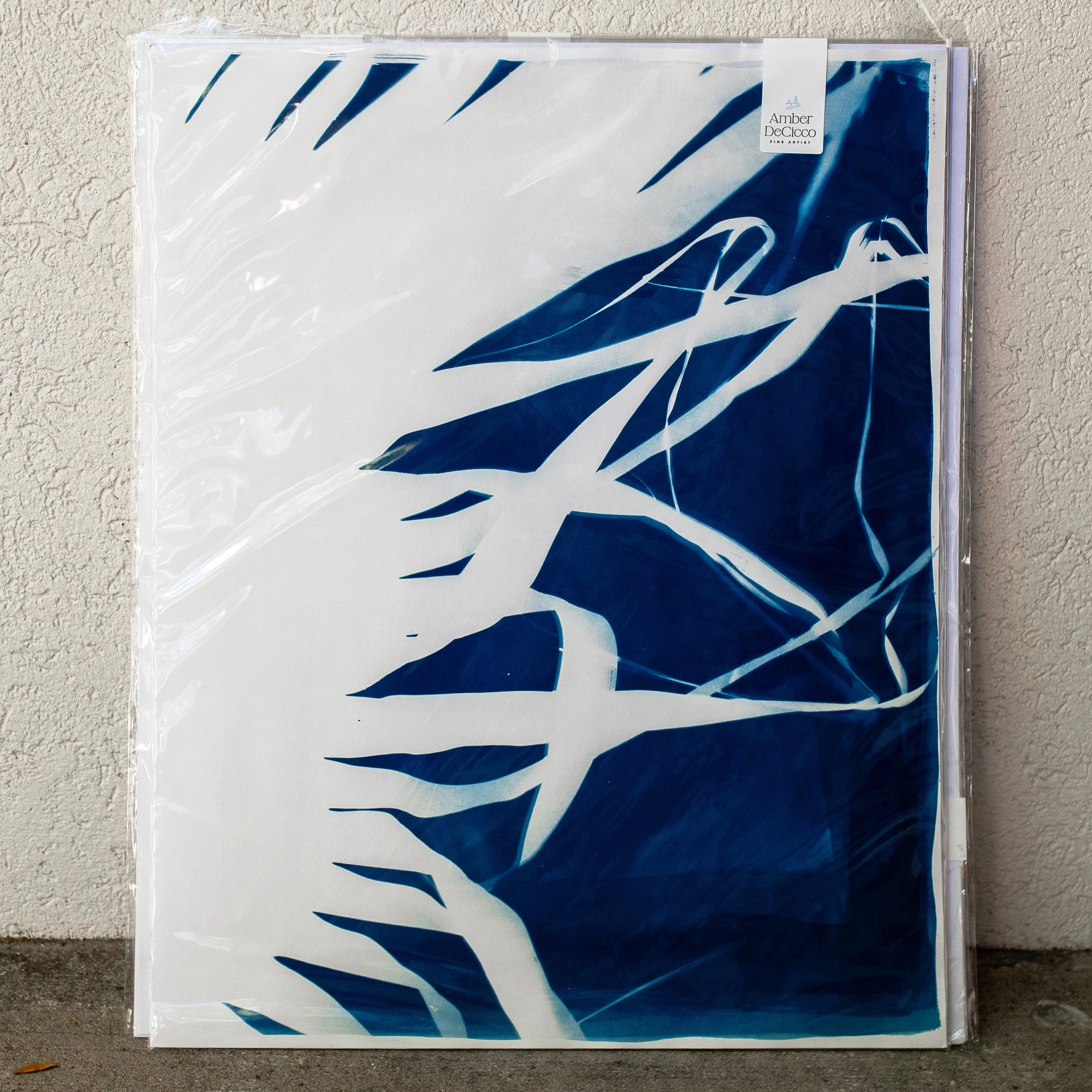 cyanotypes-understory-no?.jpg