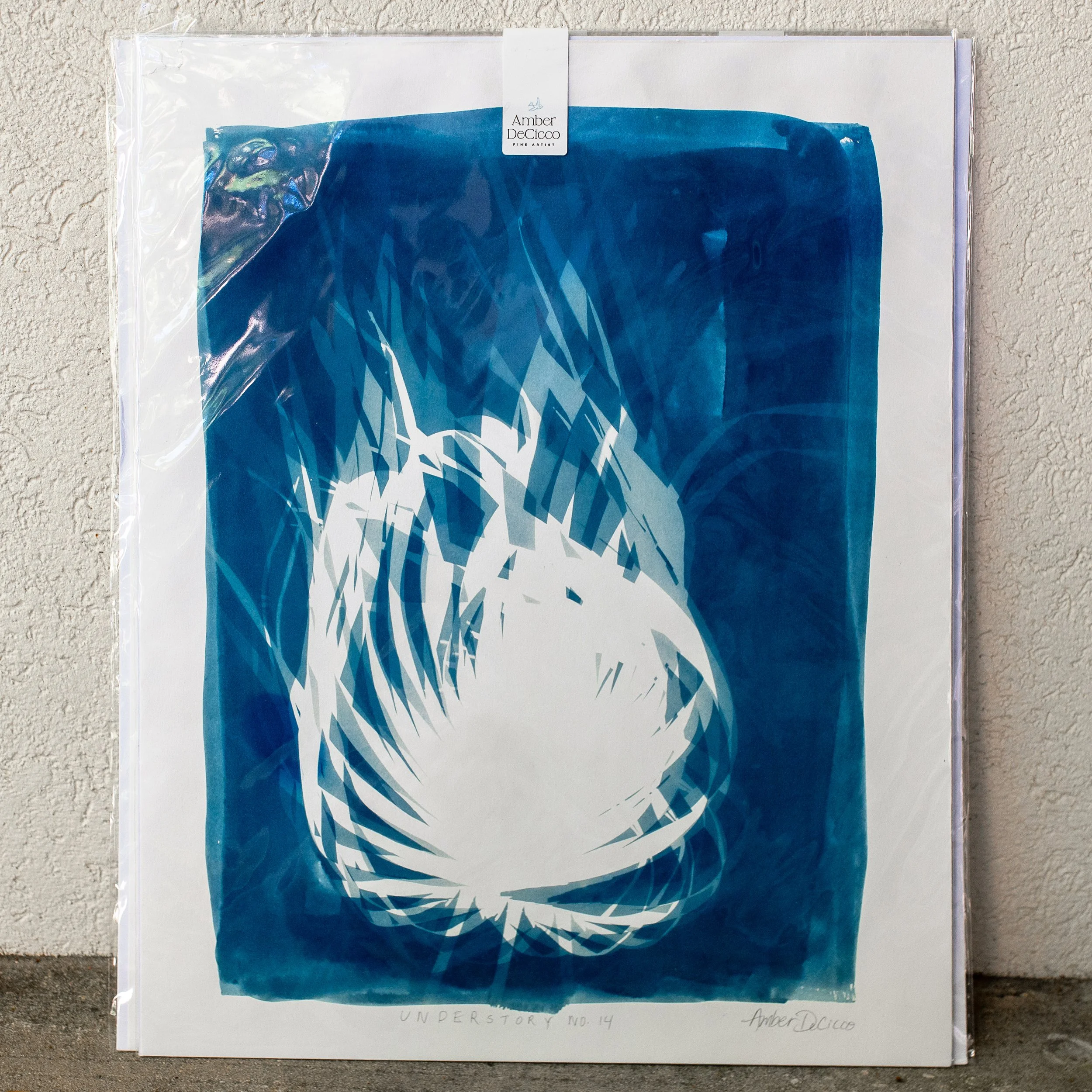 cyanotypes-understory-no14.jpg