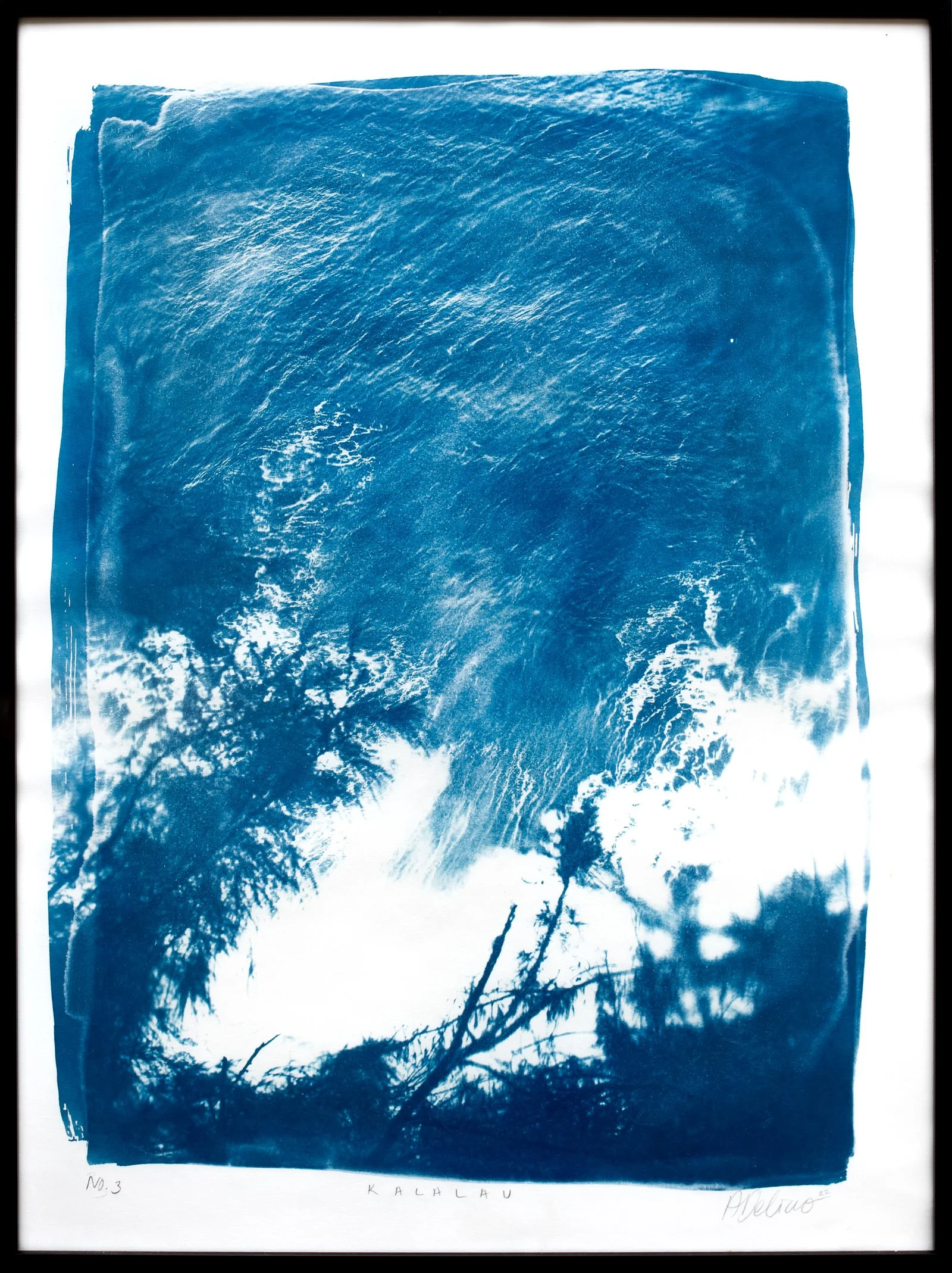 cyano-kalalau-1924-003.jpg