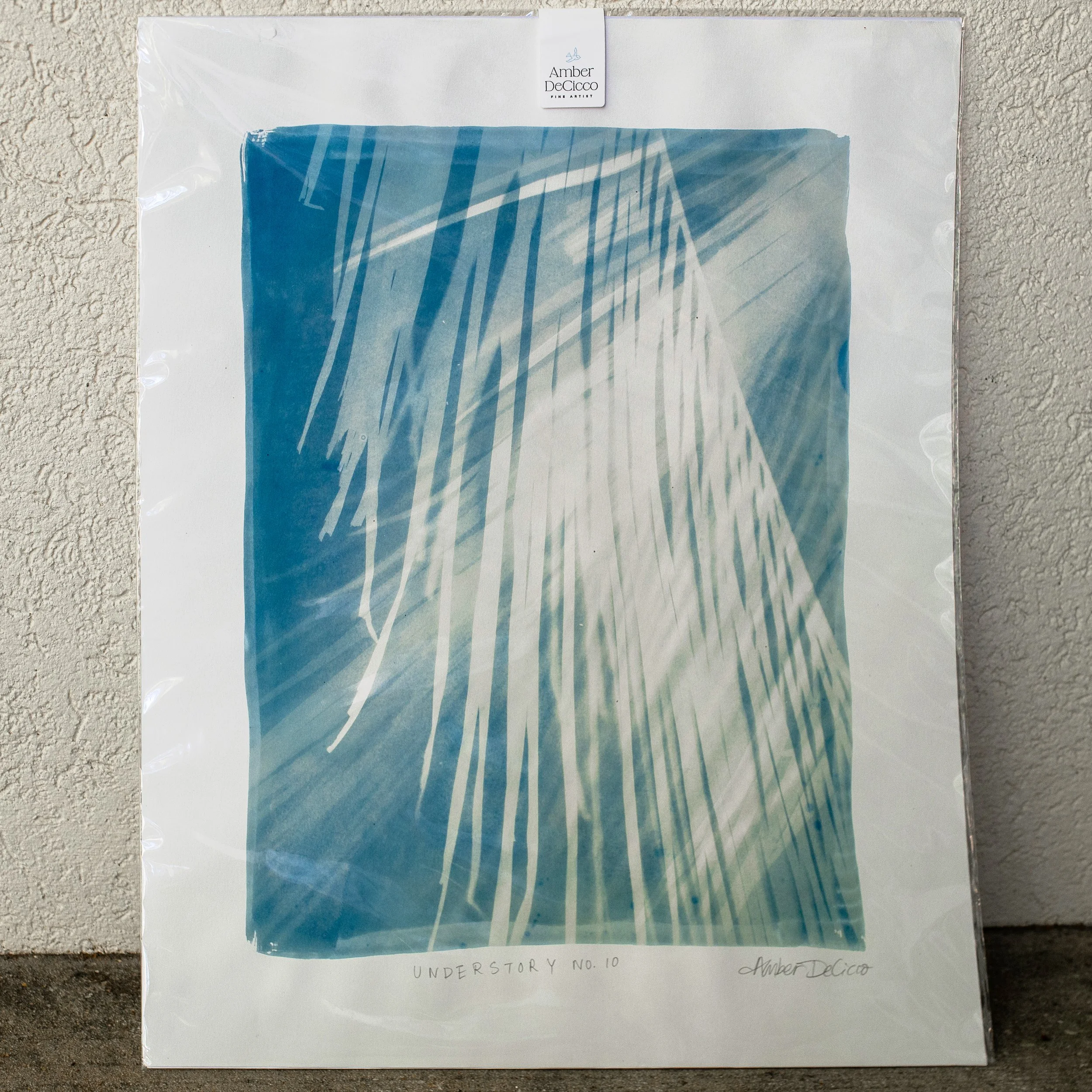 cyanotypes-understory-no10.jpg