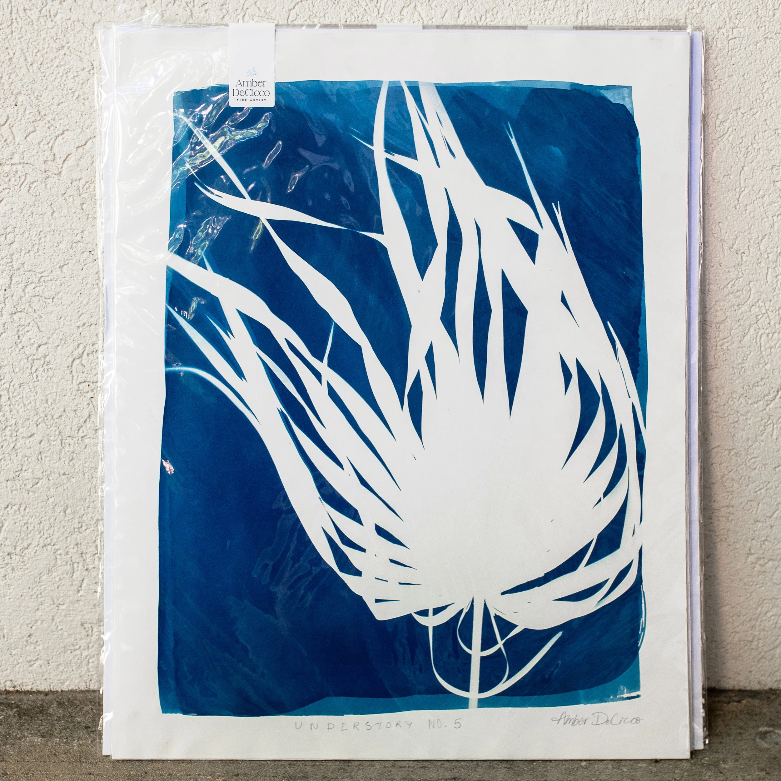 cyanotypes-understory-no5.jpg