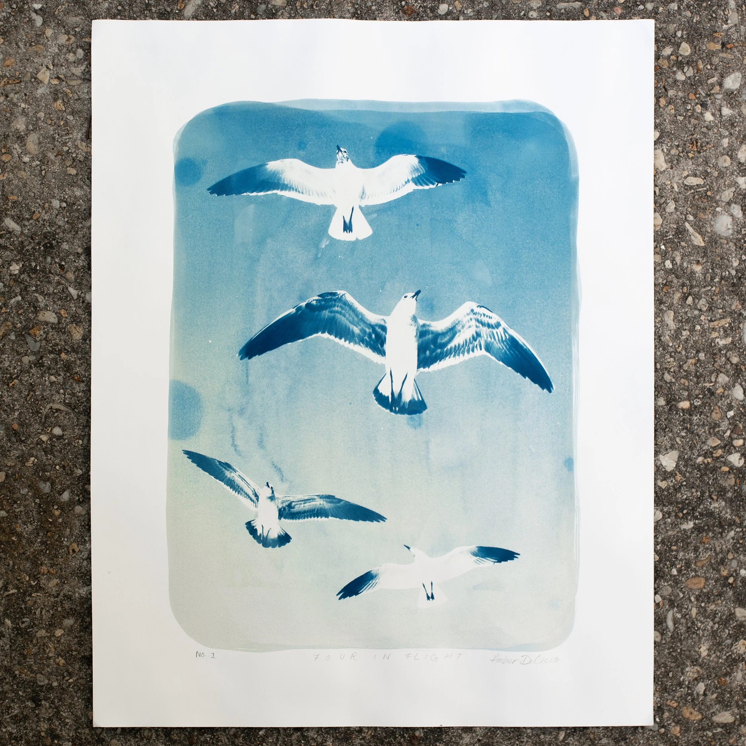 cyanotypes-fourinflight-no1.jpg