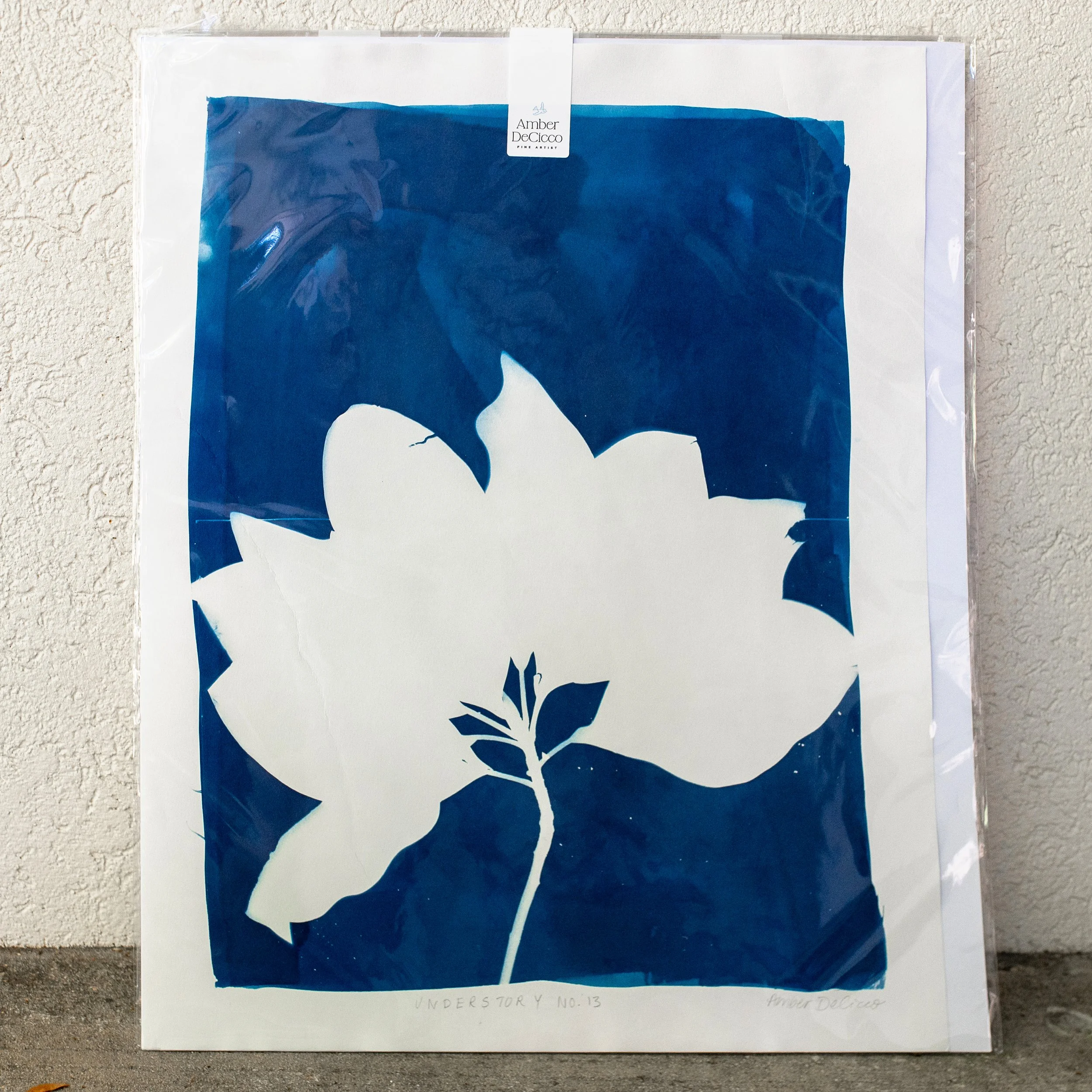 cyanotypes-understorty-no13.jpg
