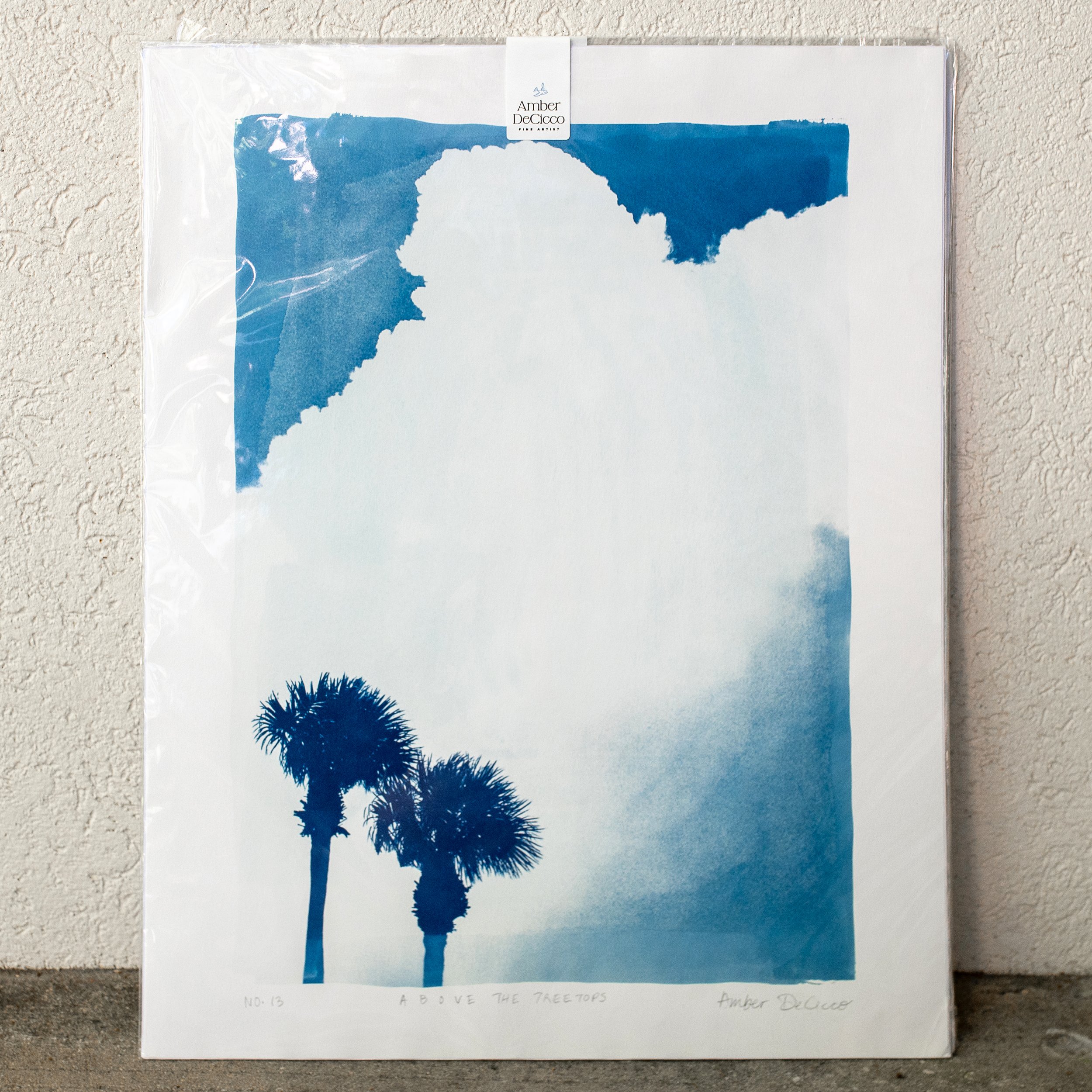 cyanotypes-abovethetreetops-no13.jpg