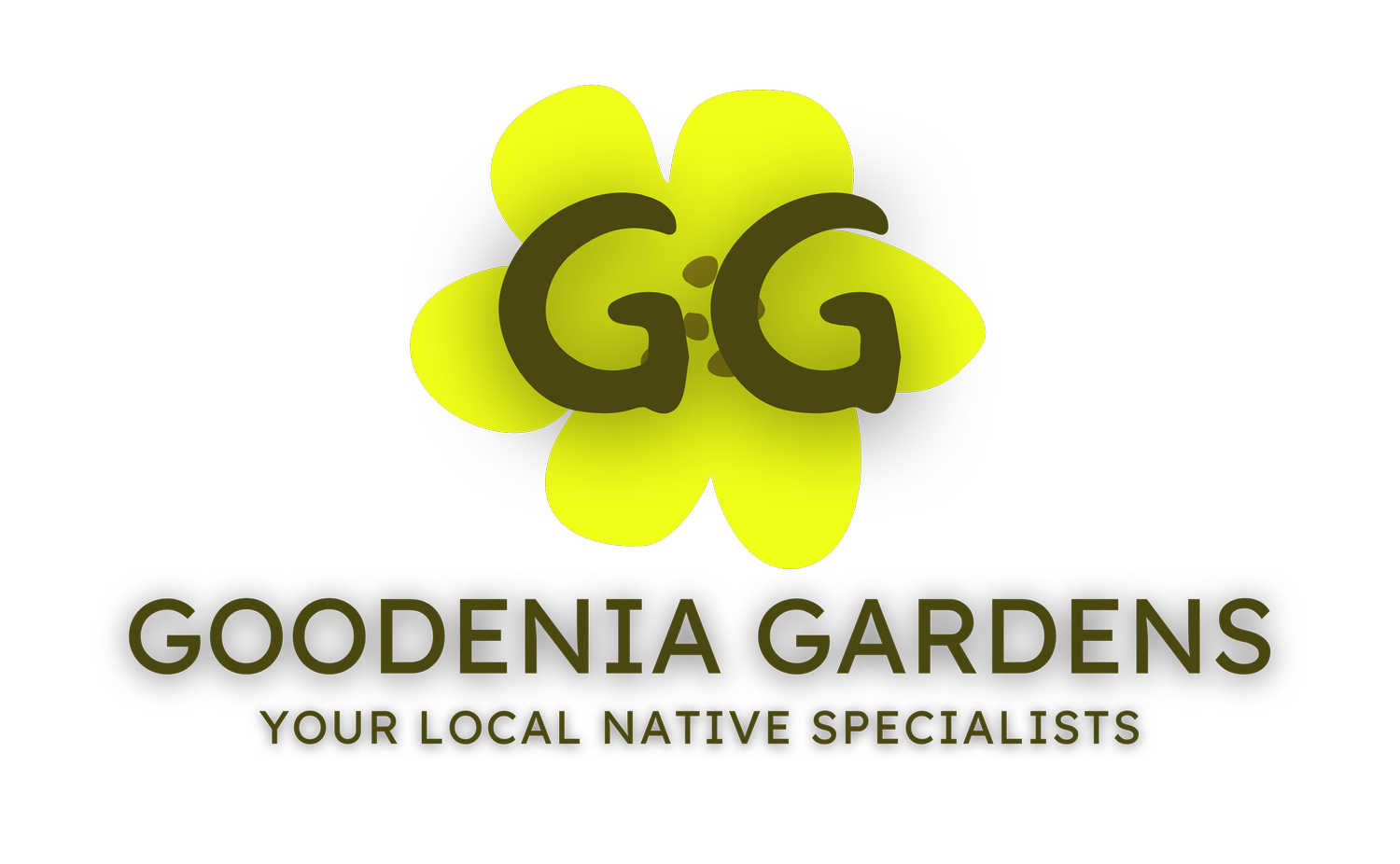 Goodenia Gardens